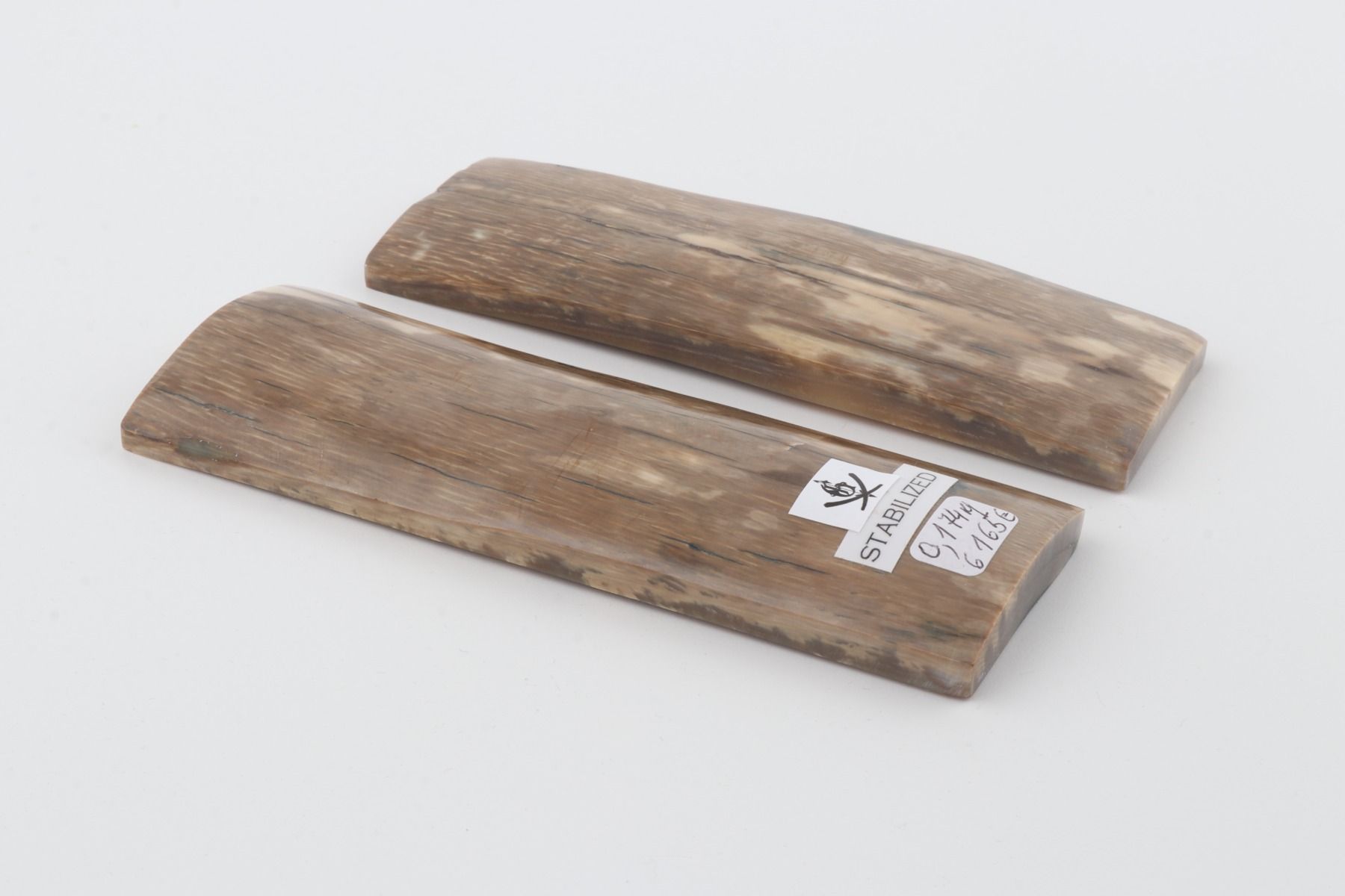 Stabilised mammoth bark scales
