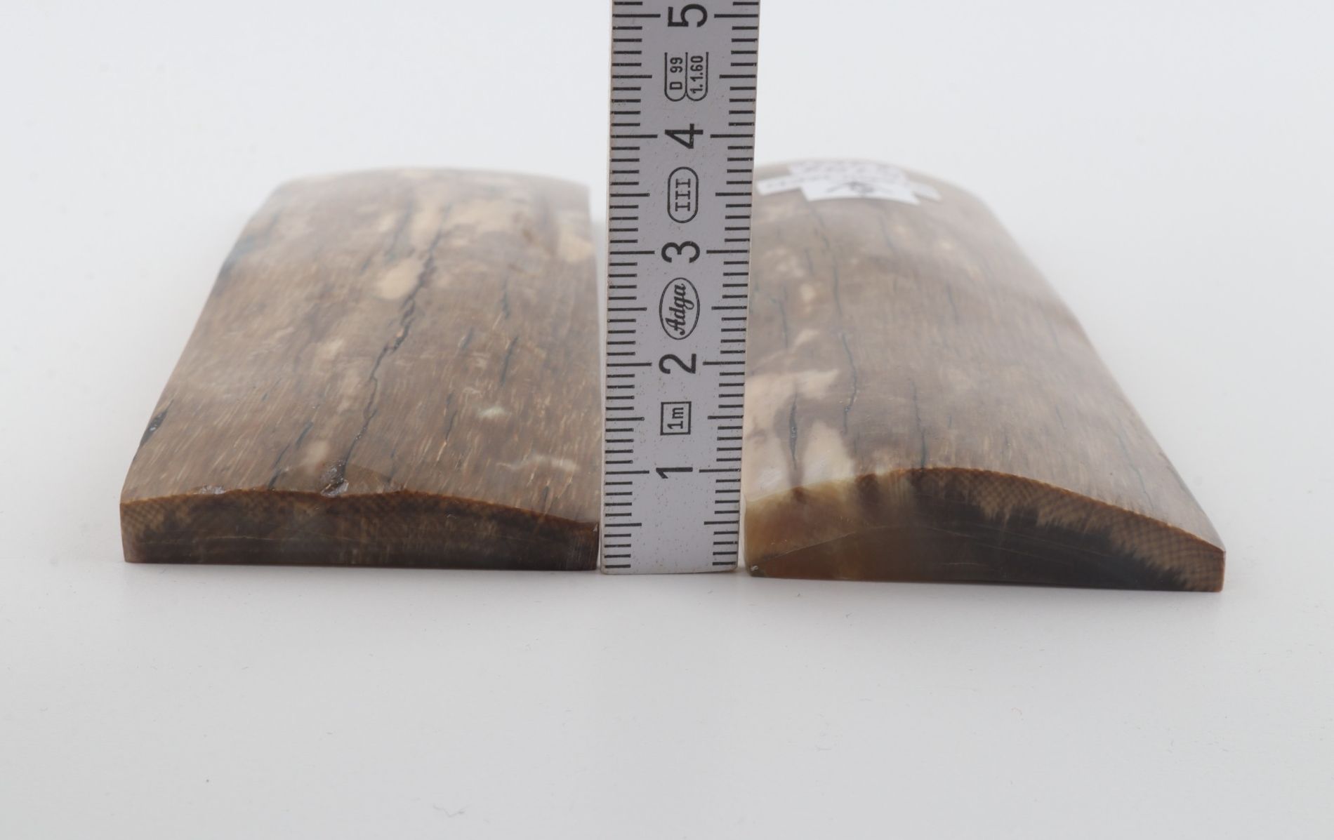 Stabilised mammoth bark scales