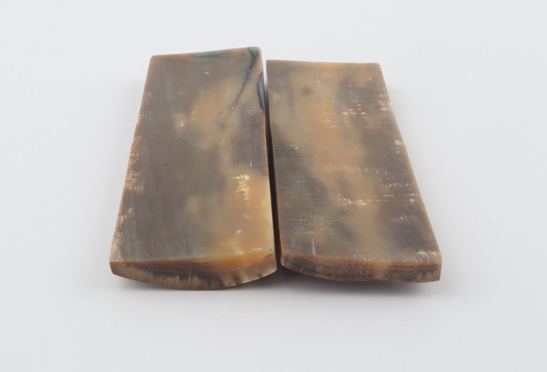 Stabilised mammoth bark scales