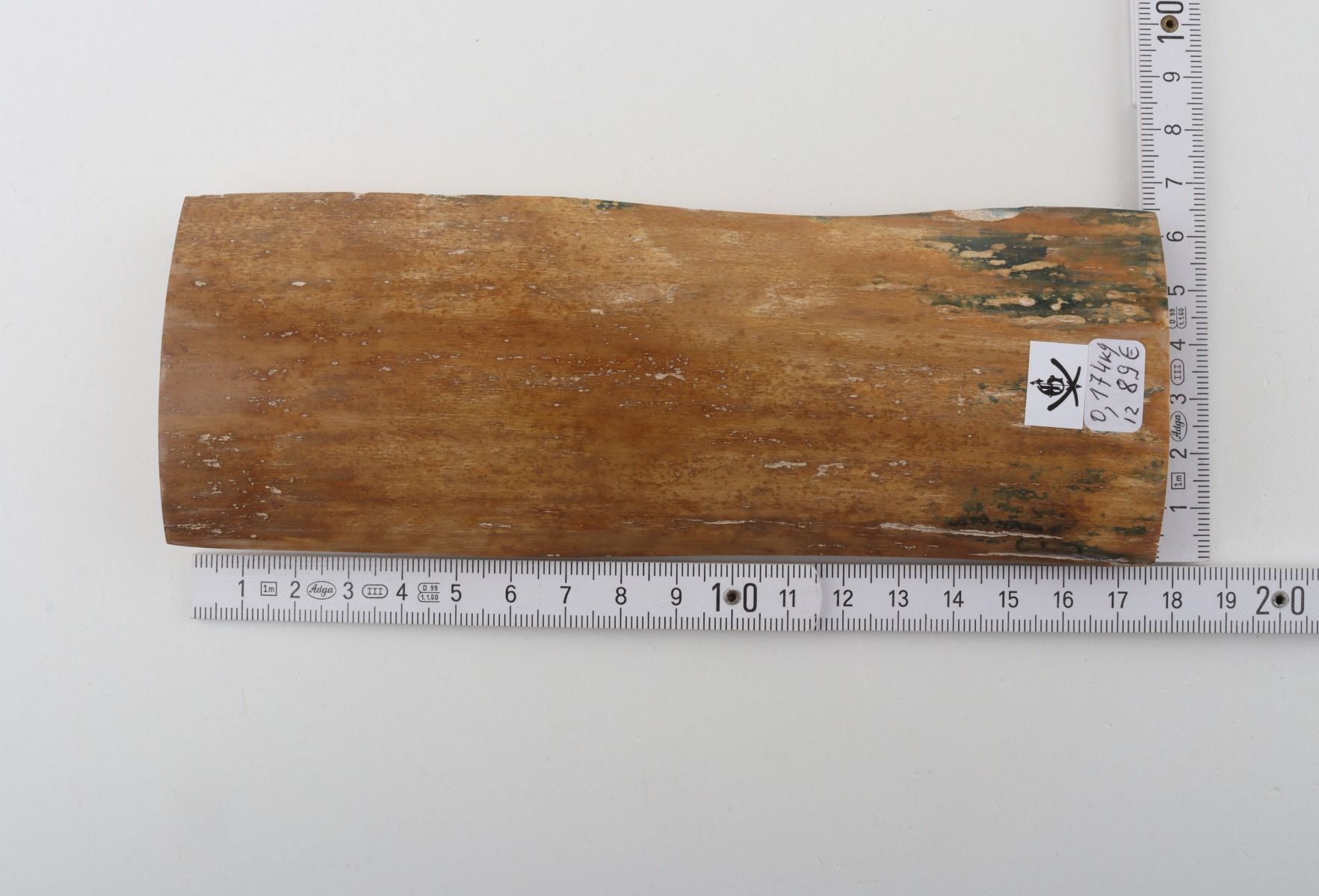 Beige mammoth bark 