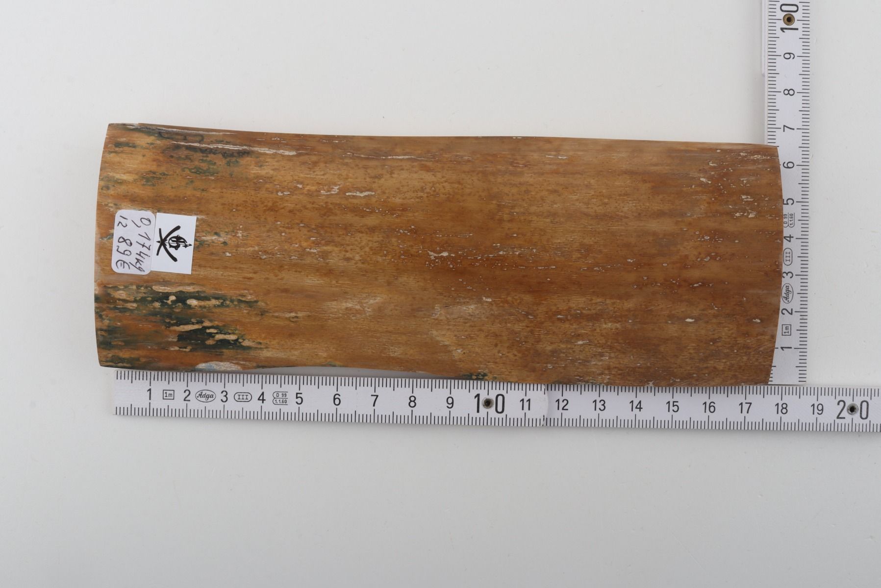 Beige mammoth bark 