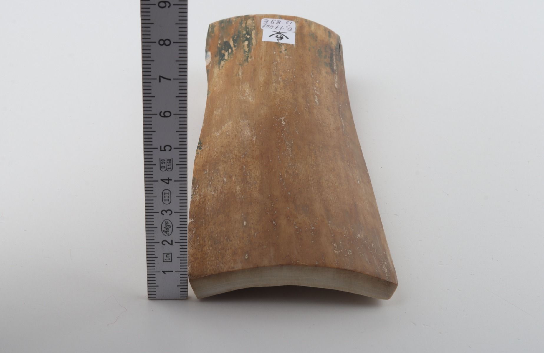 Beige mammoth bark 
