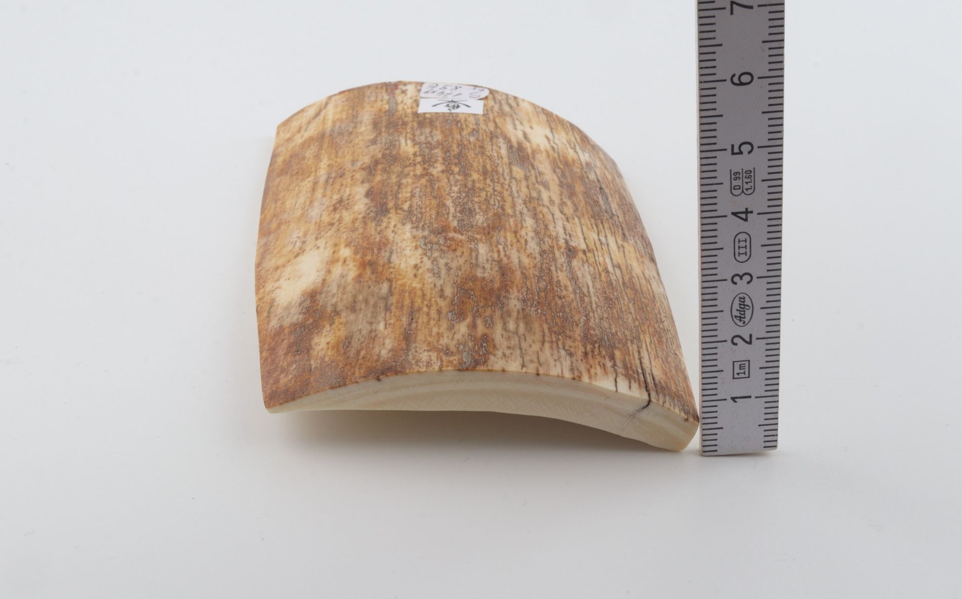 Brown-orange mammoth bark