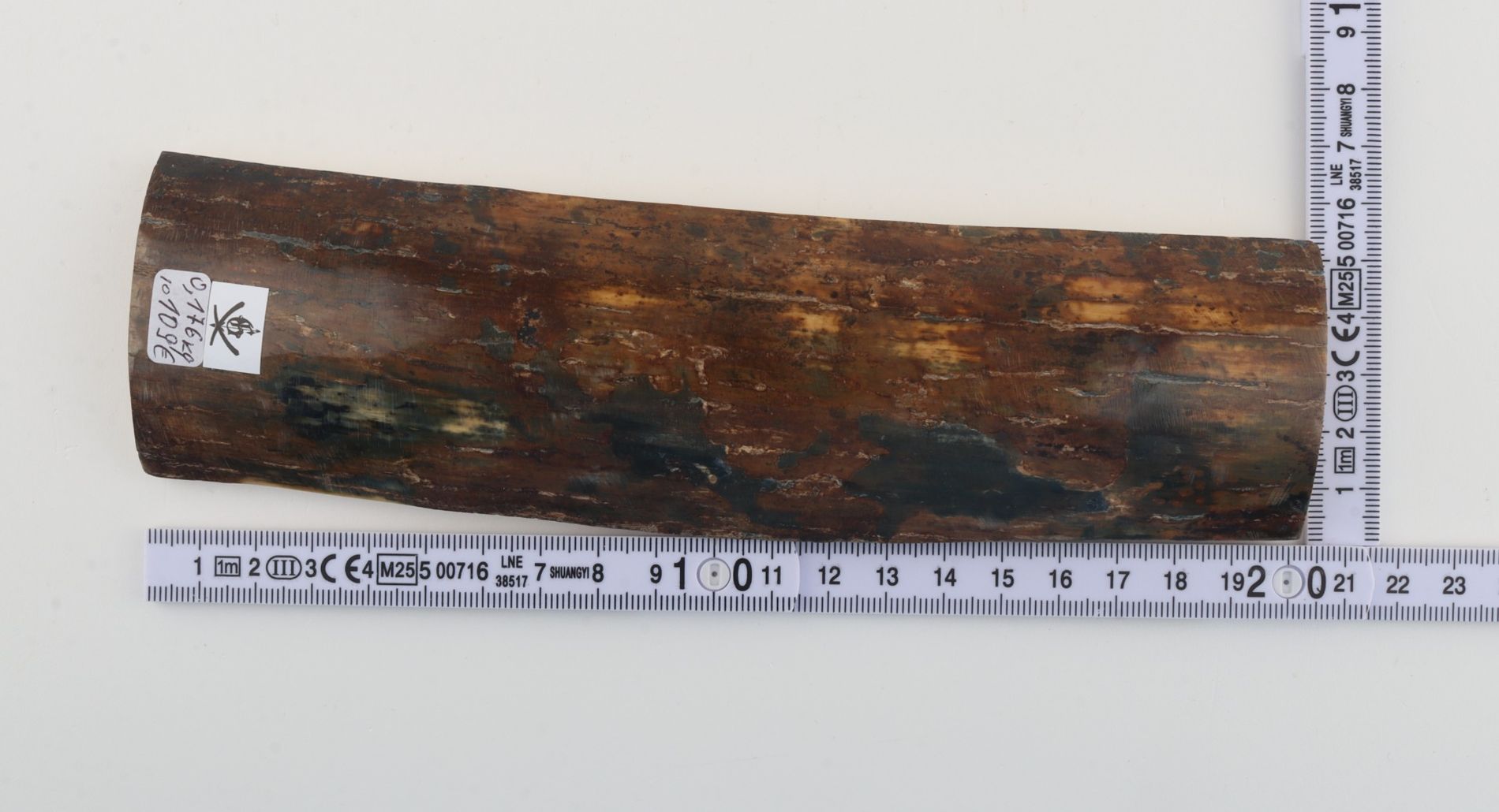 Natural woolly mammoth bark