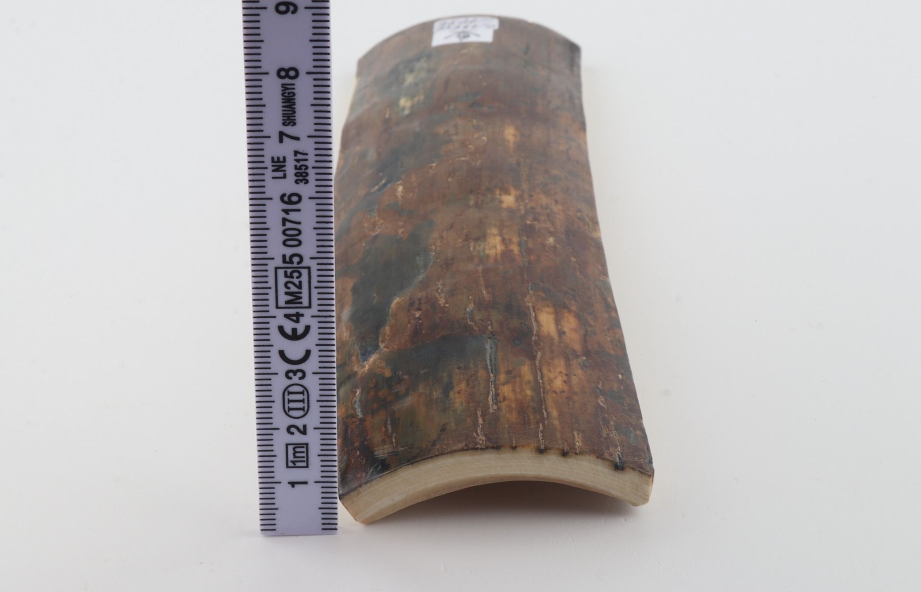 Natural woolly mammoth bark