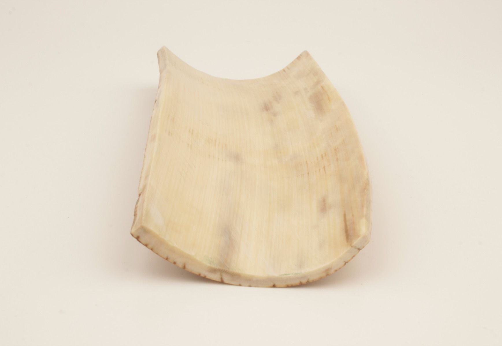 Beige-caramel mammoth bark
