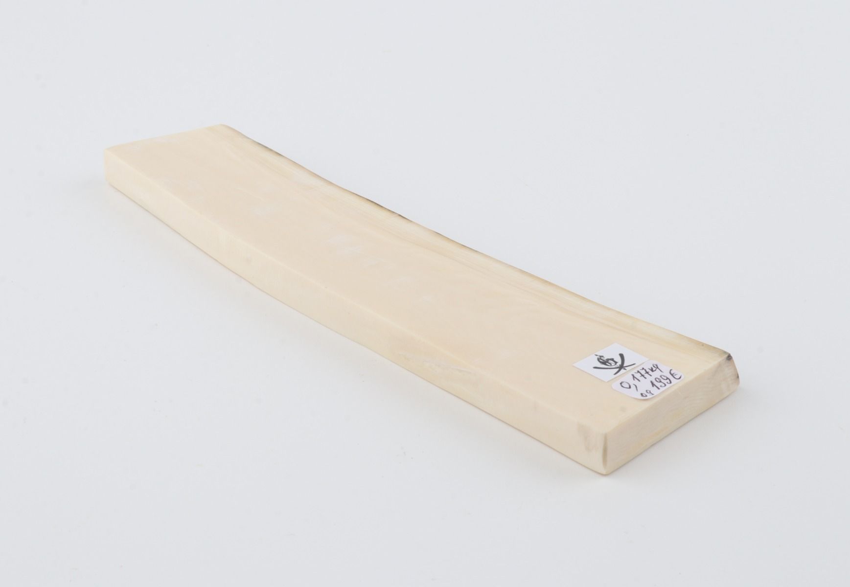White mammoth ivory segment