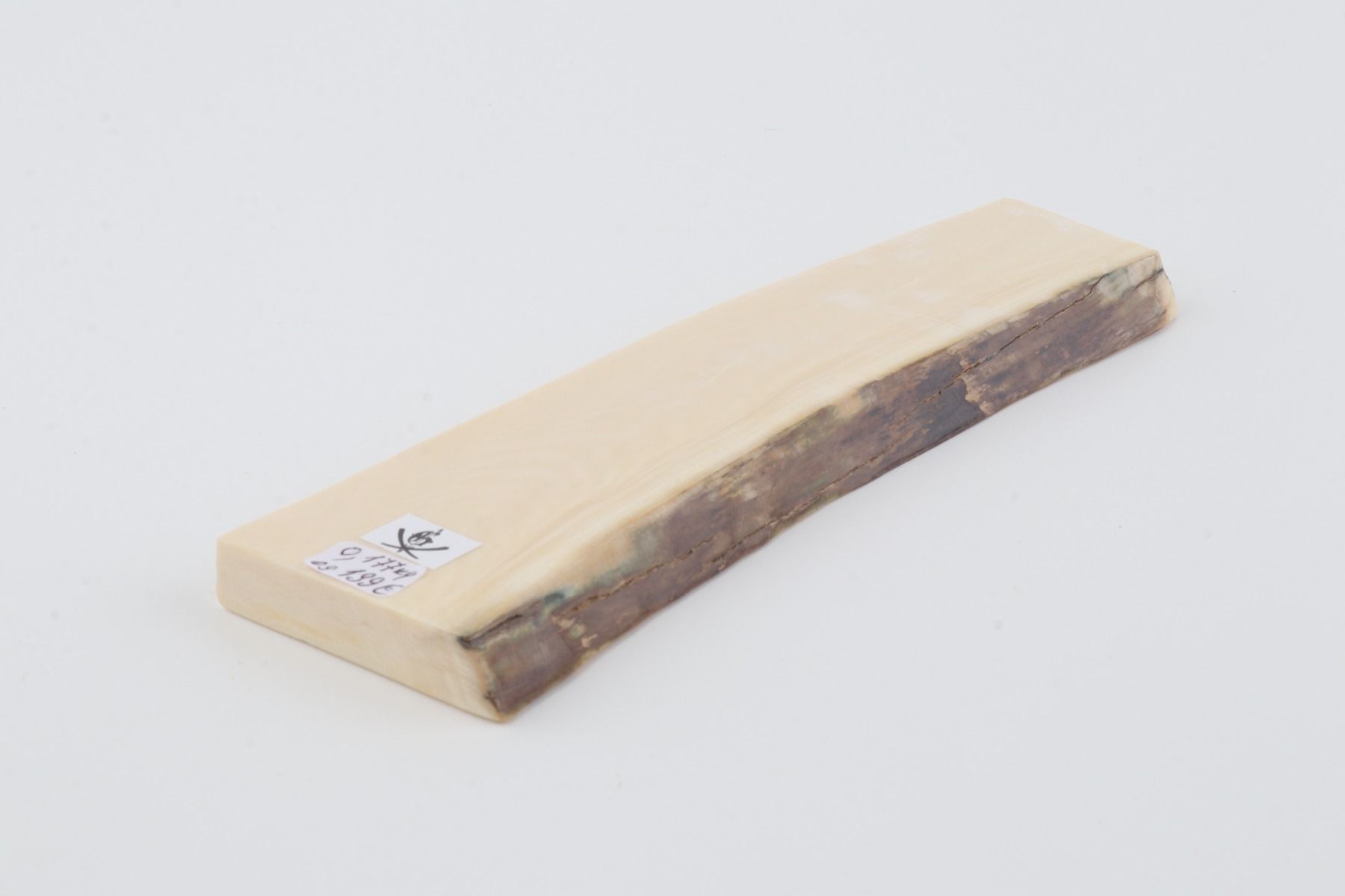 White mammoth ivory segment