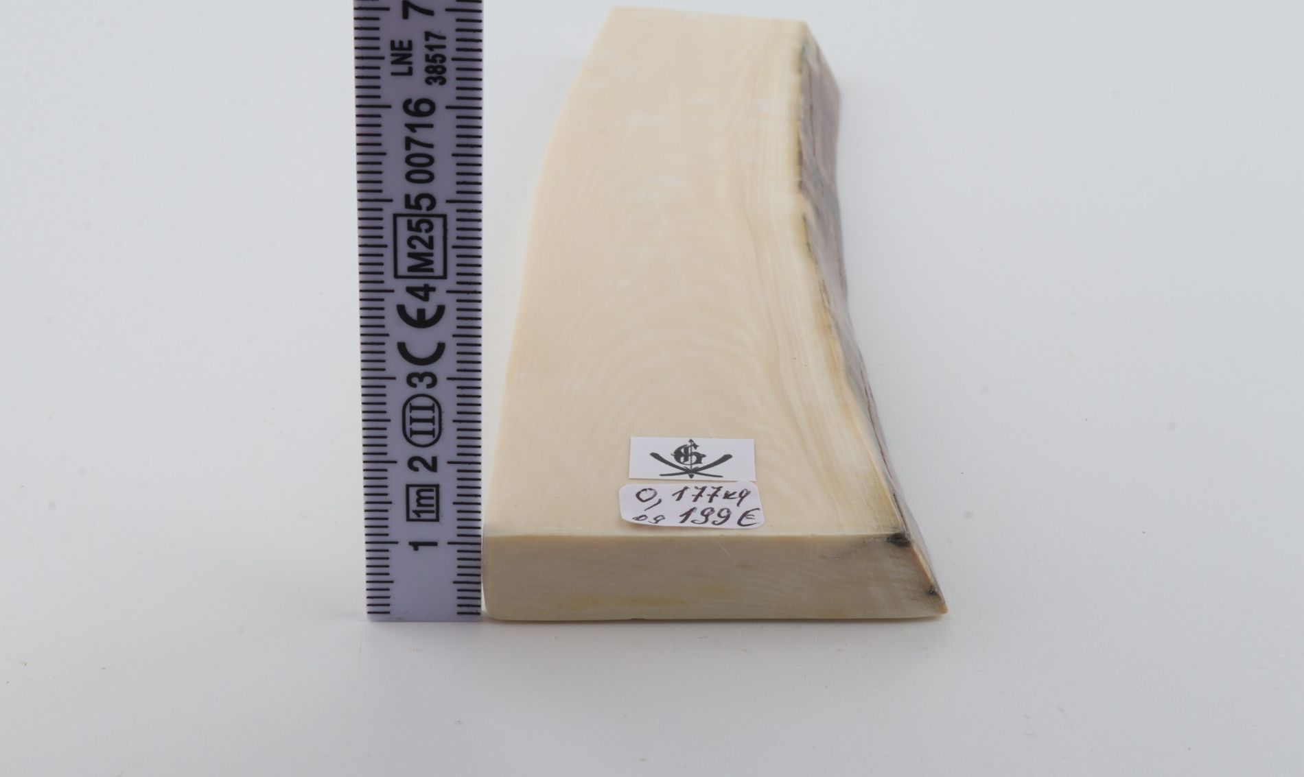 White mammoth ivory segment