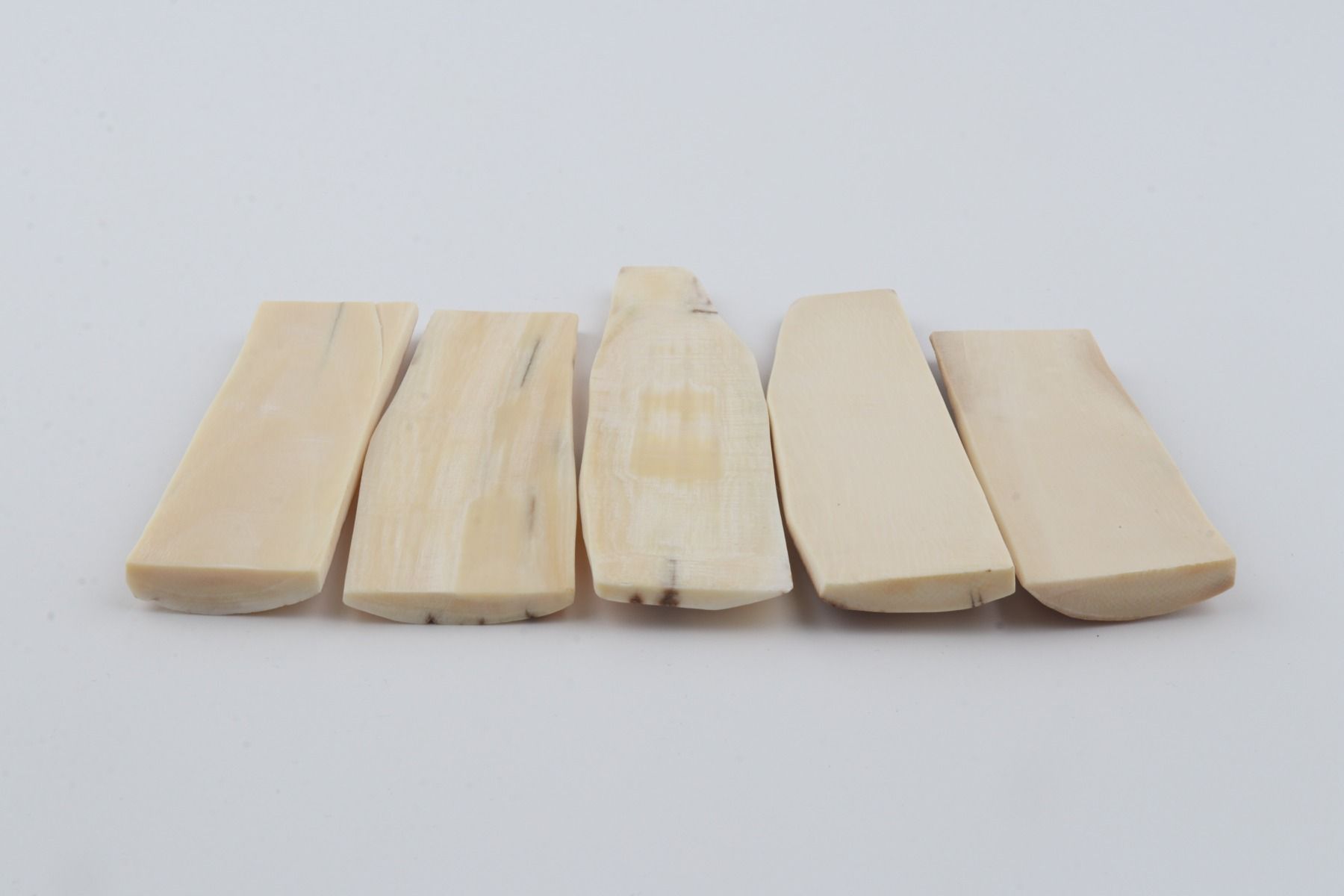 Natural mammoth bark pieces