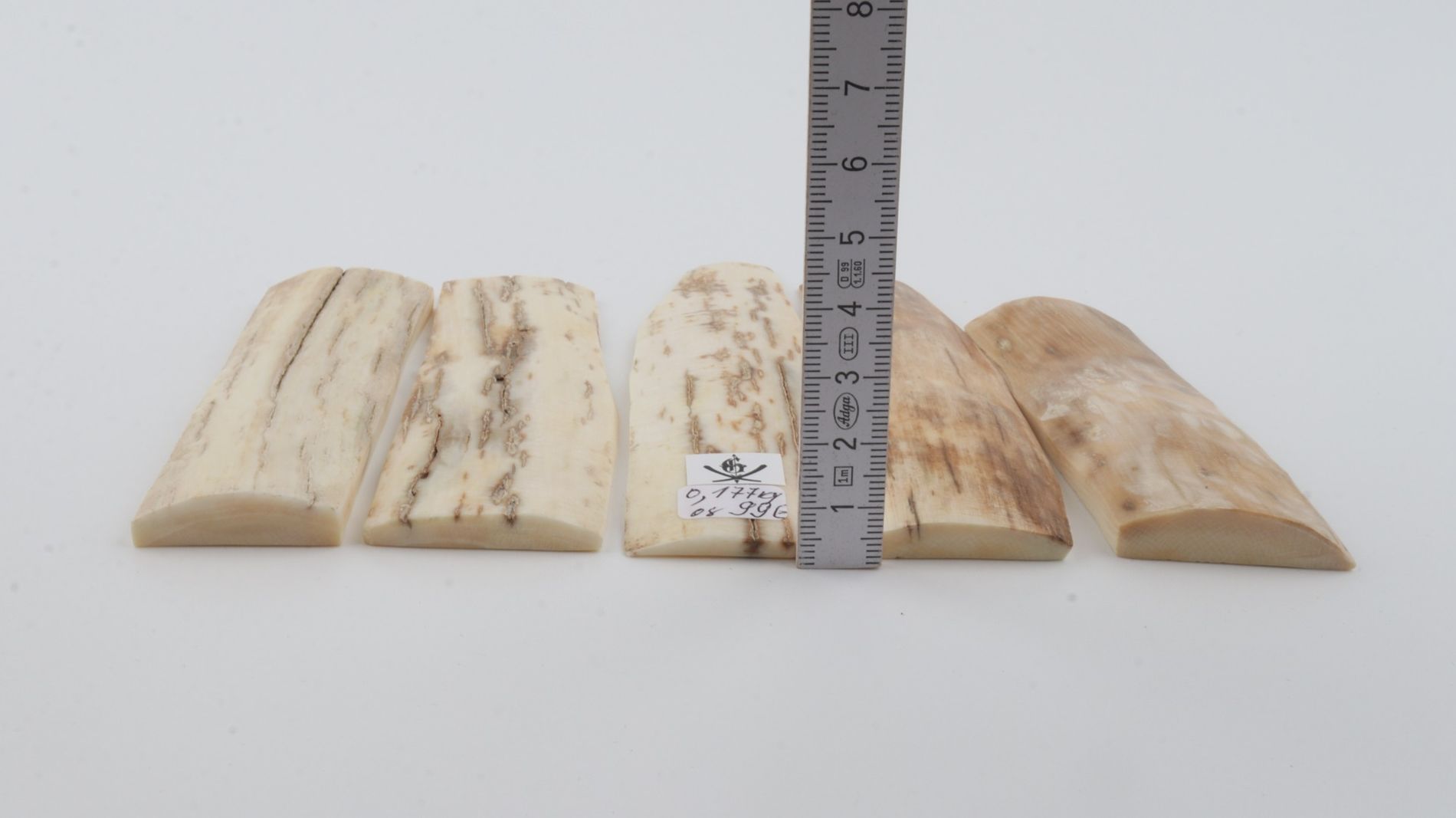 Natural mammoth bark pieces