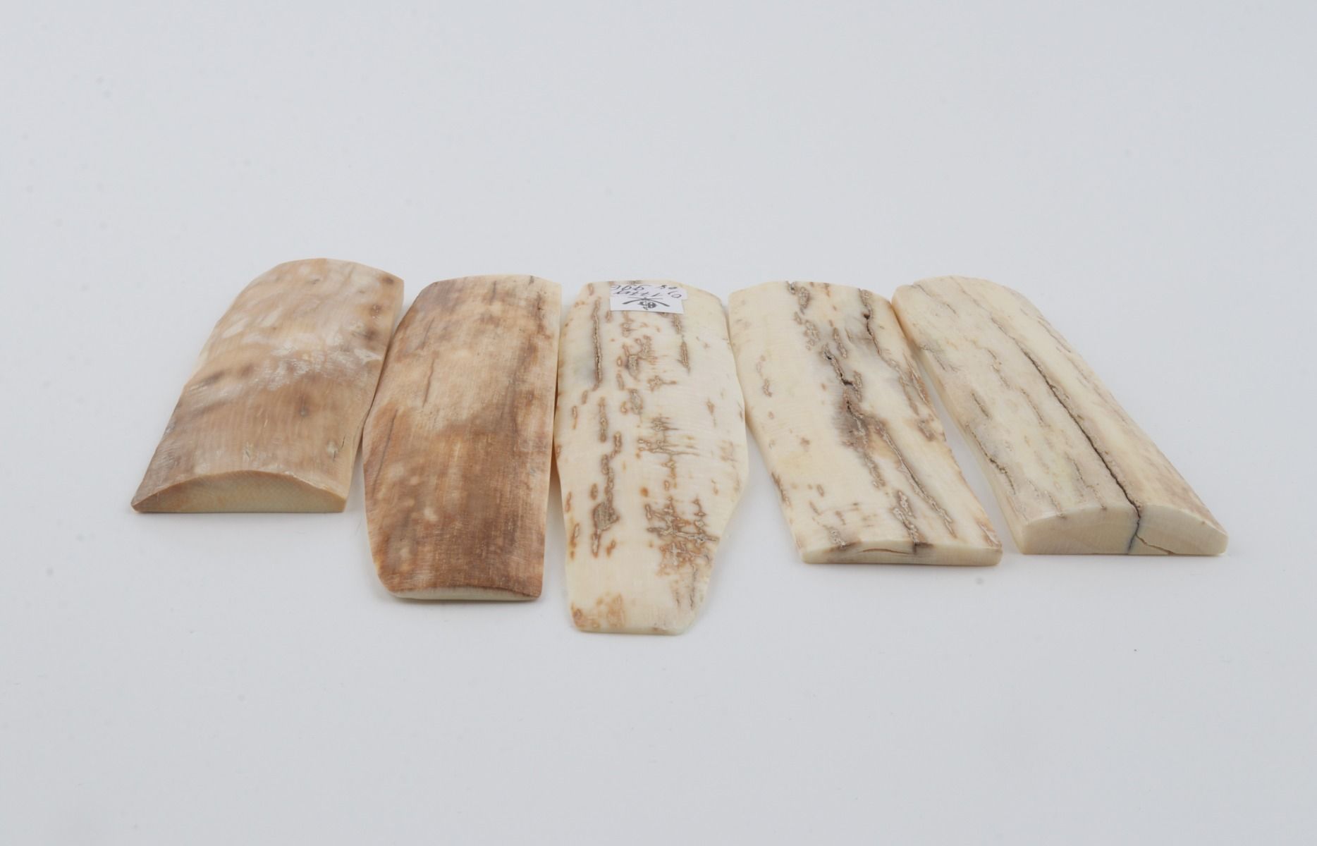Natural mammoth bark pieces