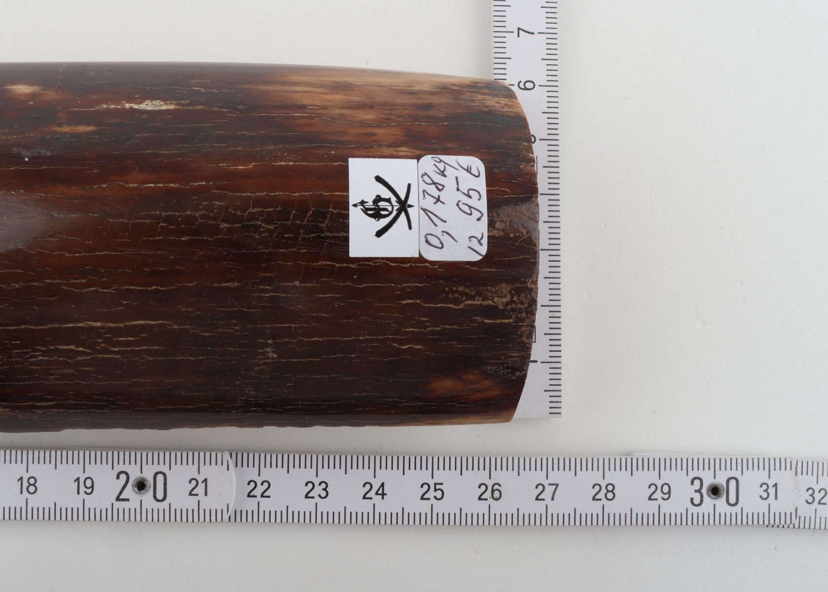 Brown mammoth bark