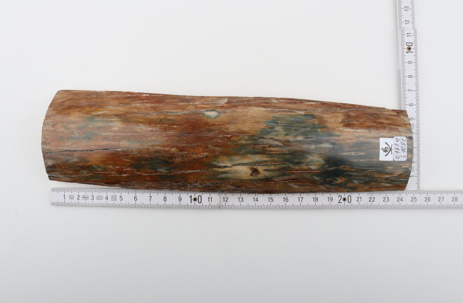 Green-caramel mammoth bark