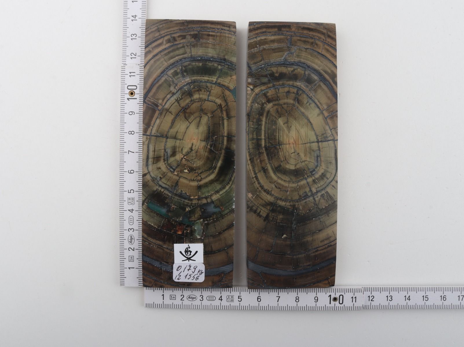 Stabilised mammoth ivory scales