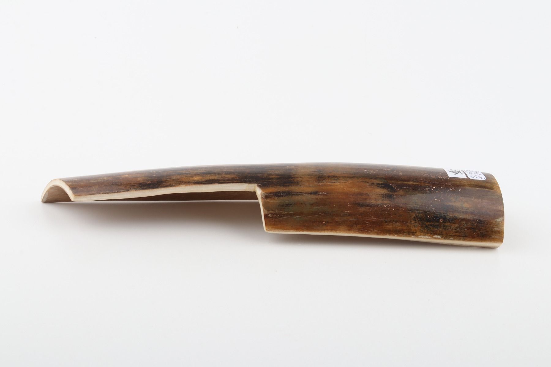 Brown mammoth bark