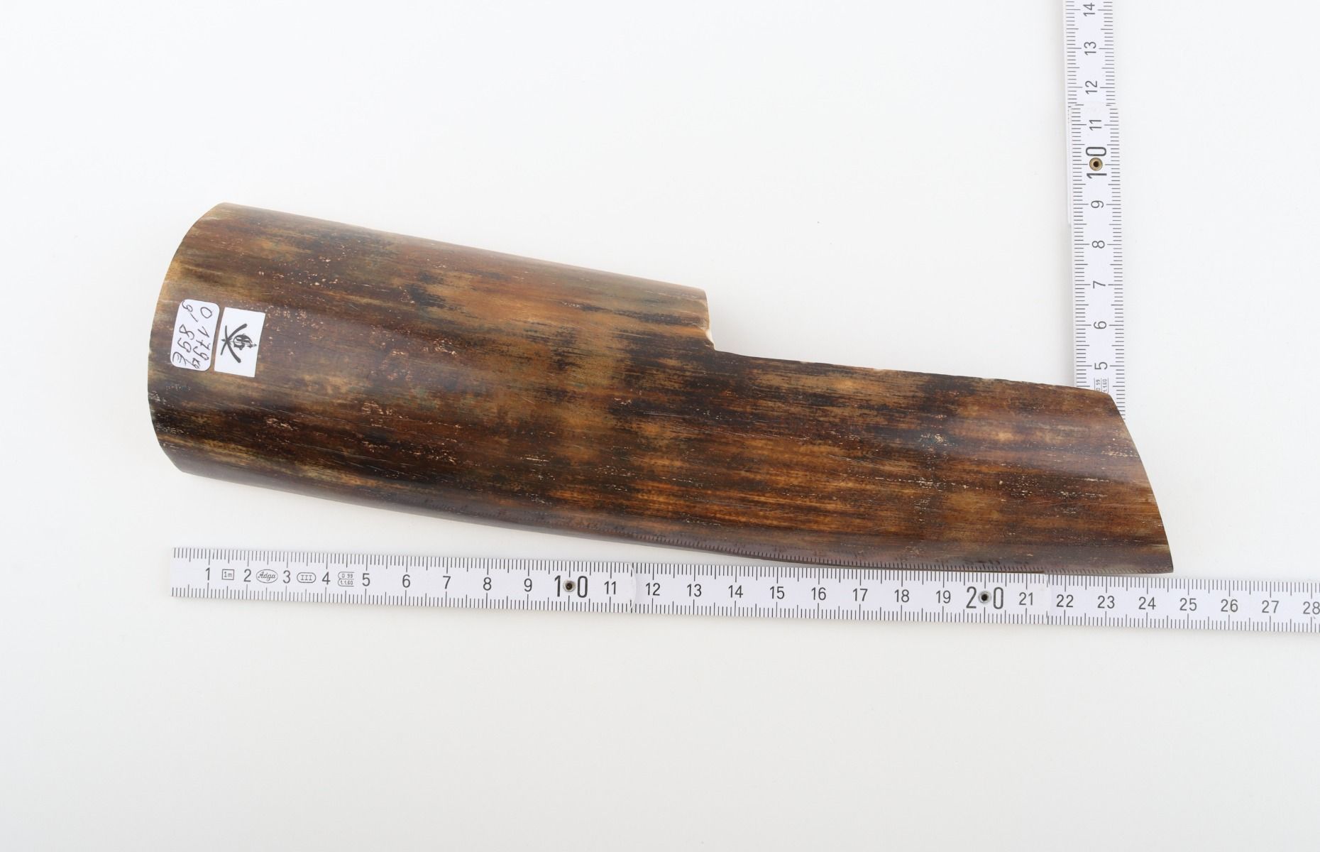Brown mammoth bark