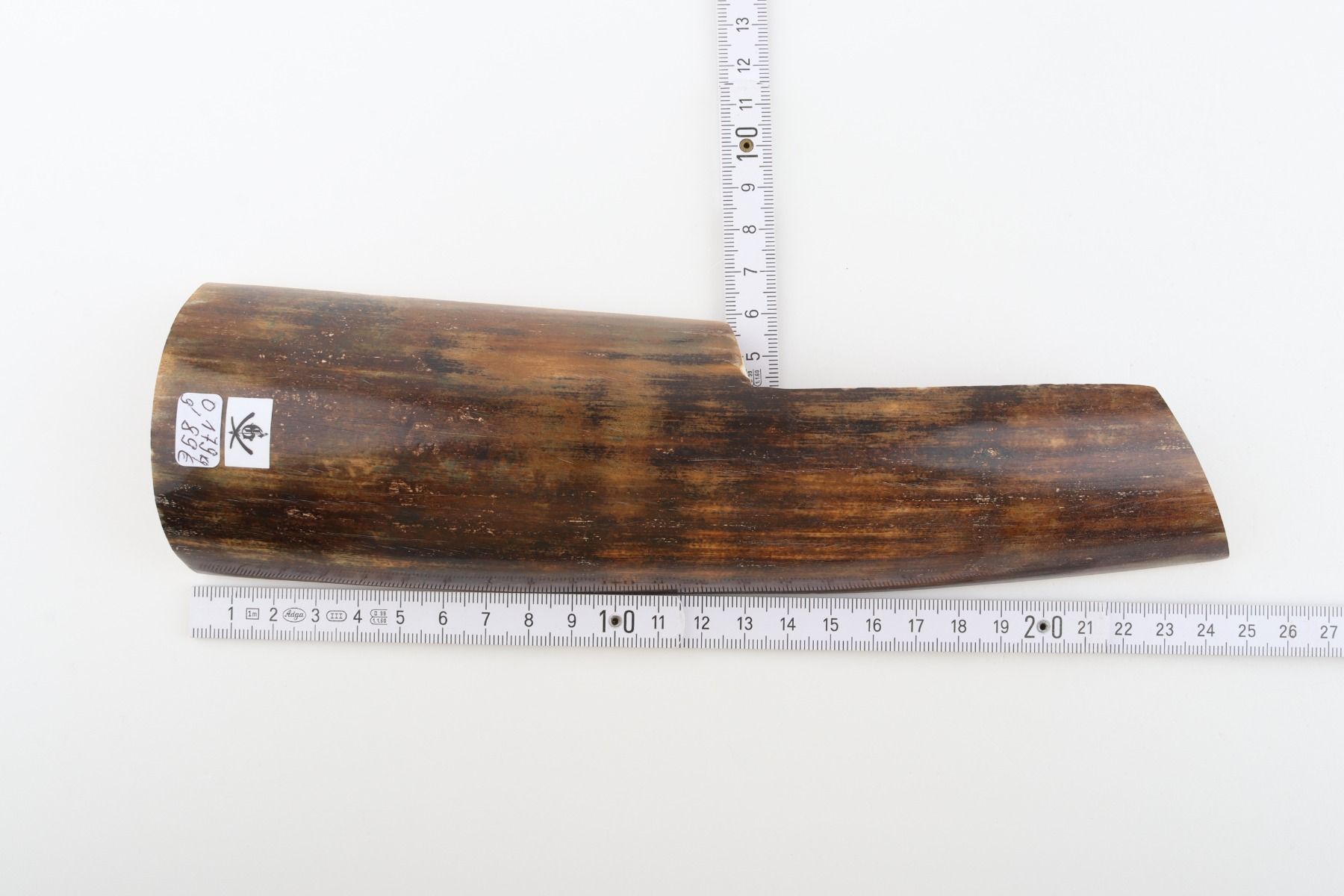 Brown mammoth bark