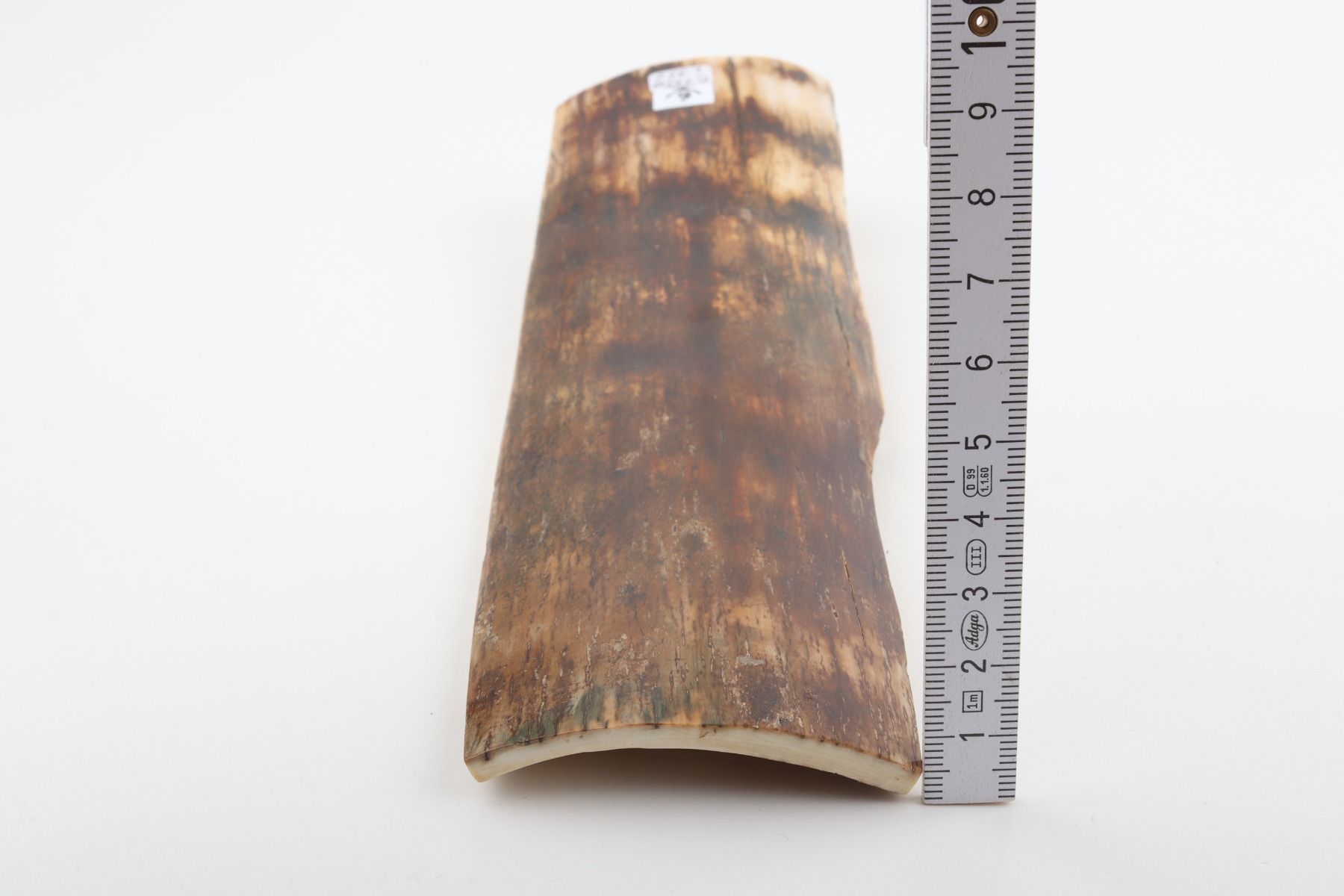 Brown mammoth bark
