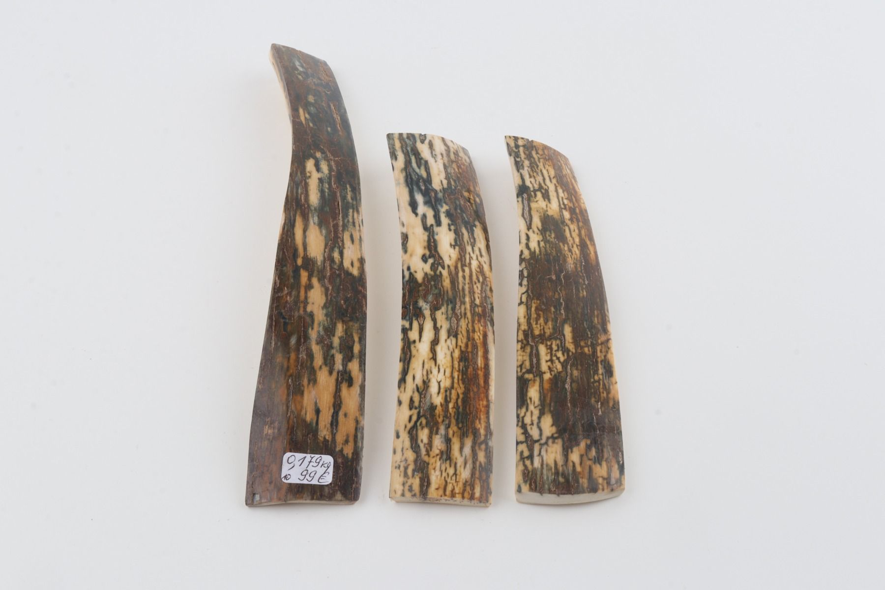 Brown-blue mammoth bark pieces