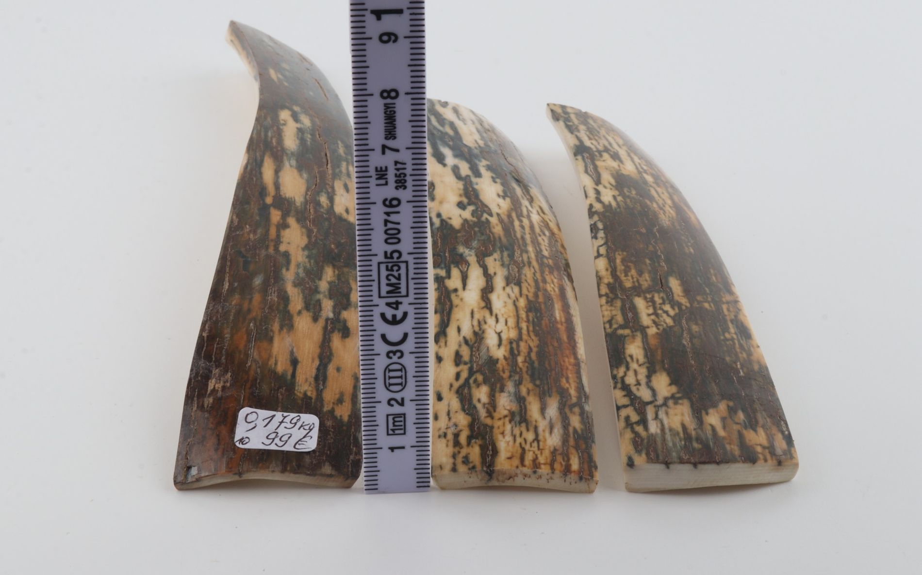 Brown-blue mammoth bark pieces