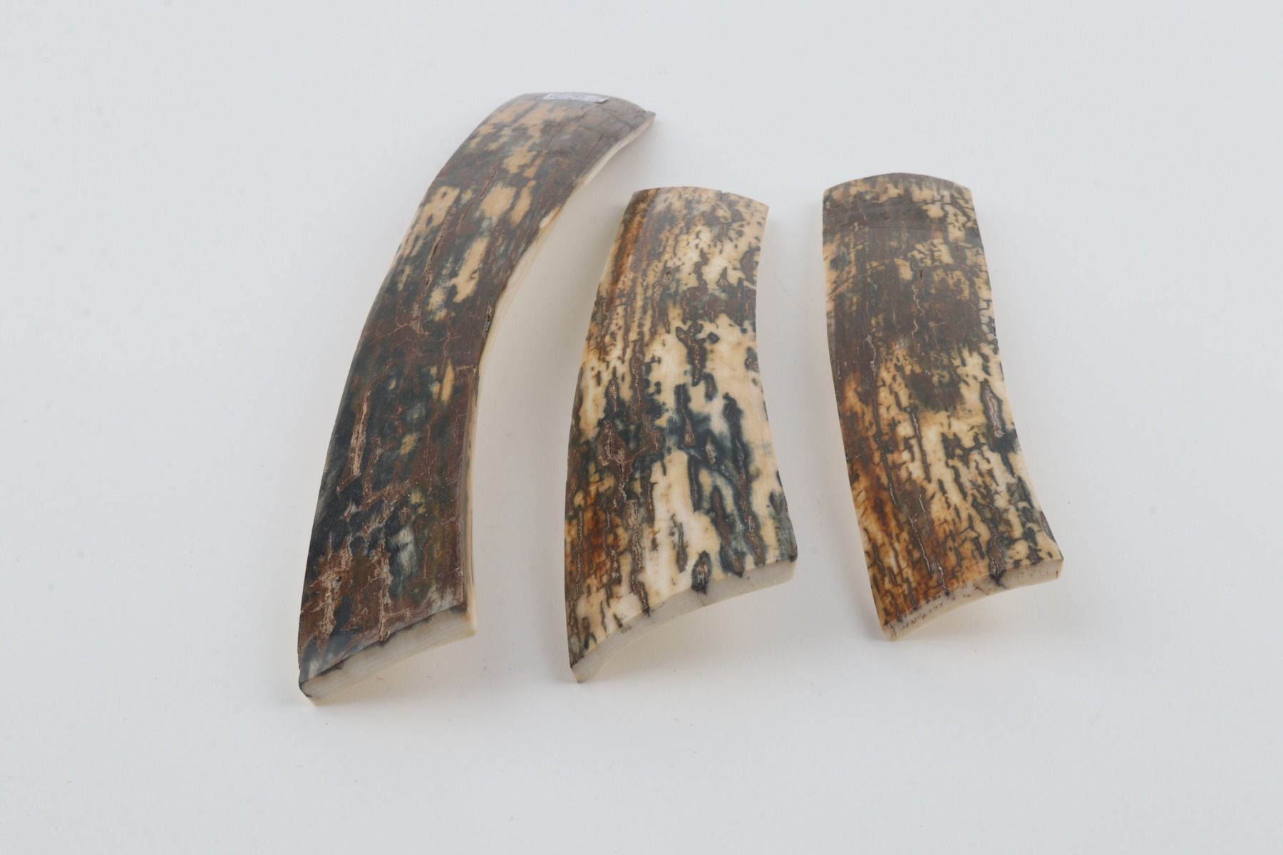 Brown-blue mammoth bark pieces