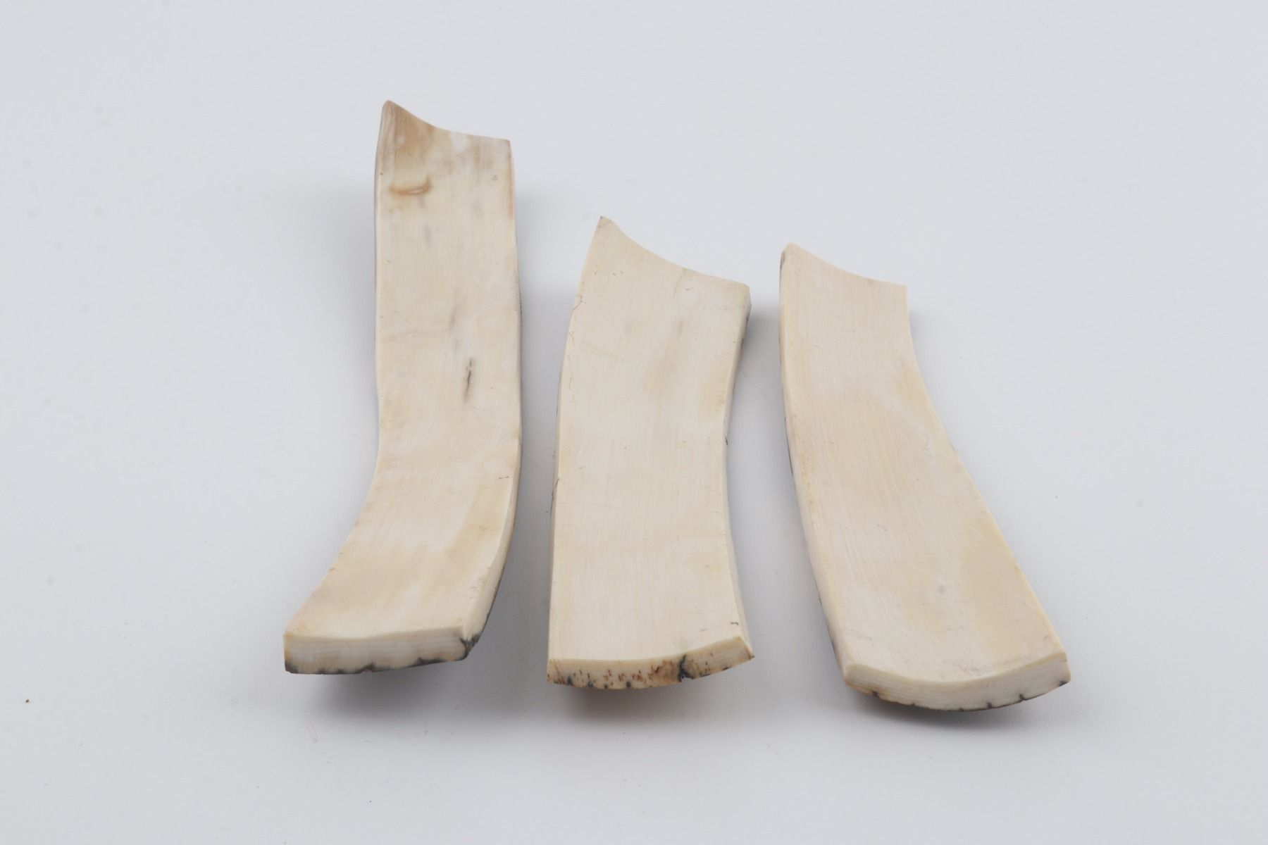 Brown-blue mammoth bark pieces