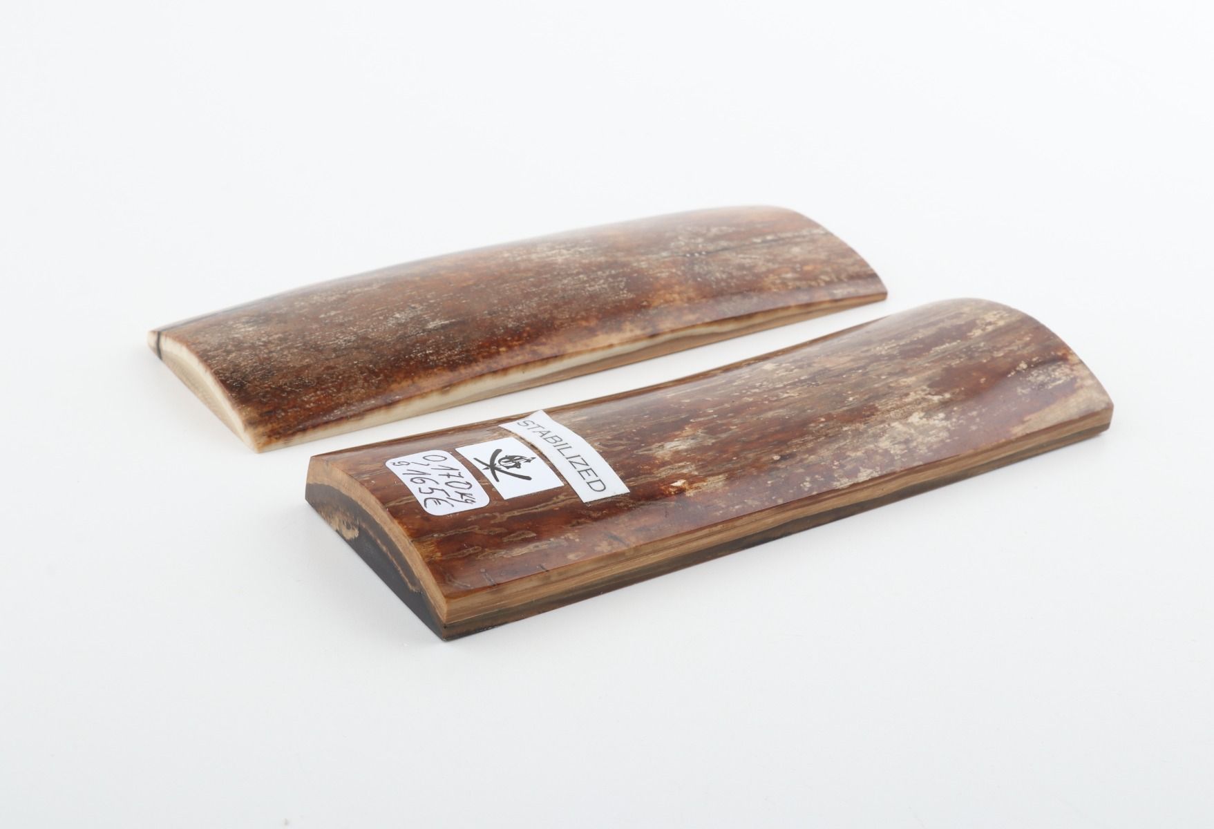 Stabilised mammoth bark scales