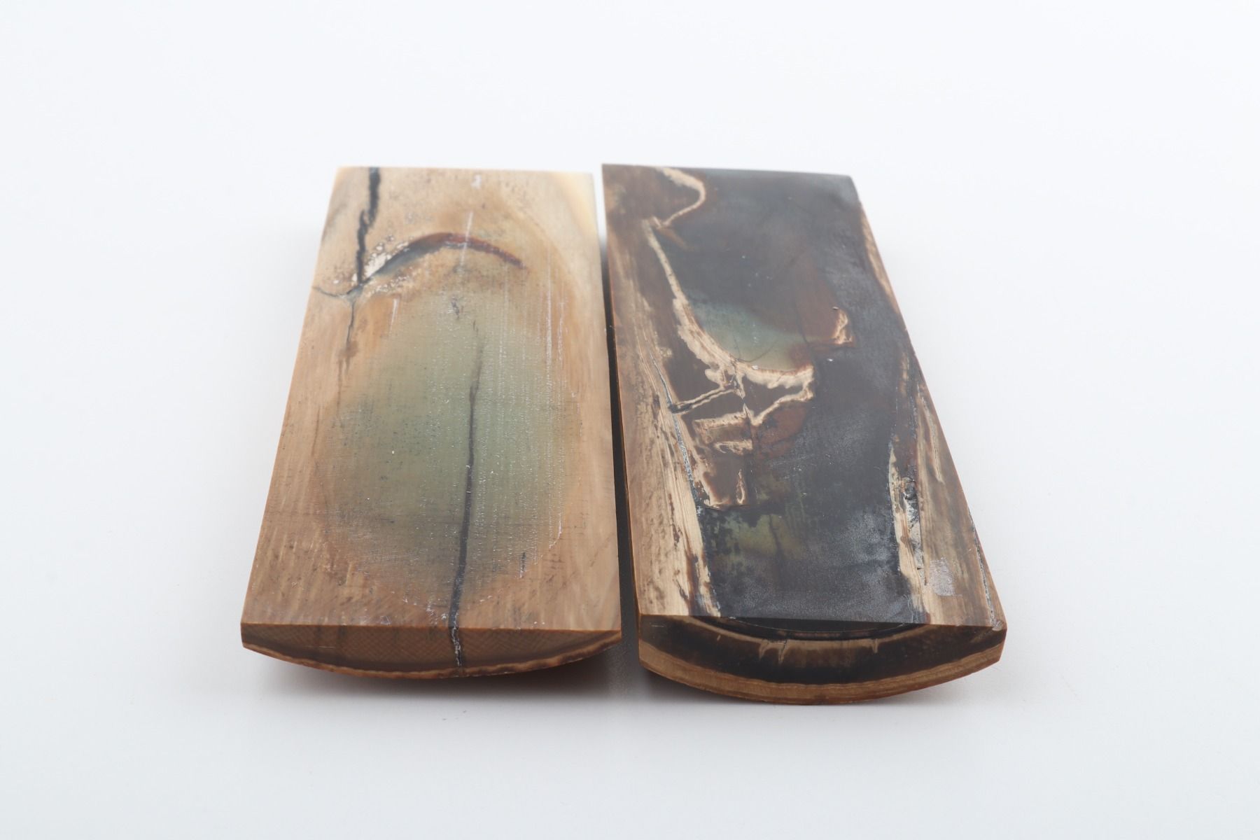 Stabilised mammoth bark scales