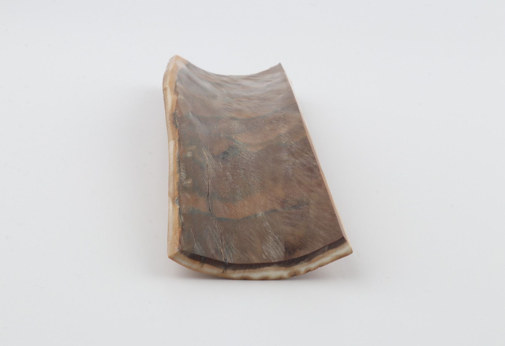 Beige mammoth bark