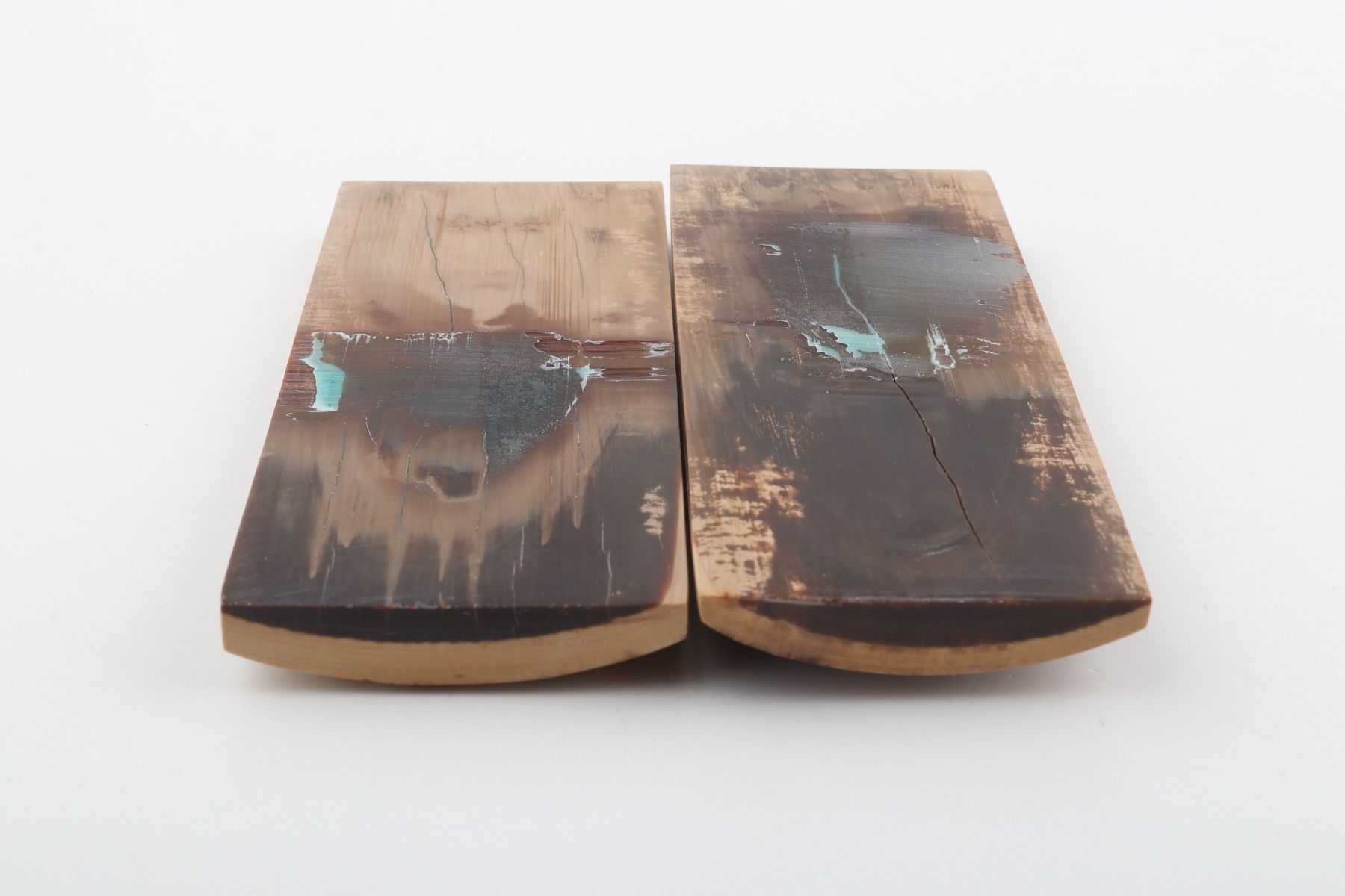 Stabilised mammoth bark scales