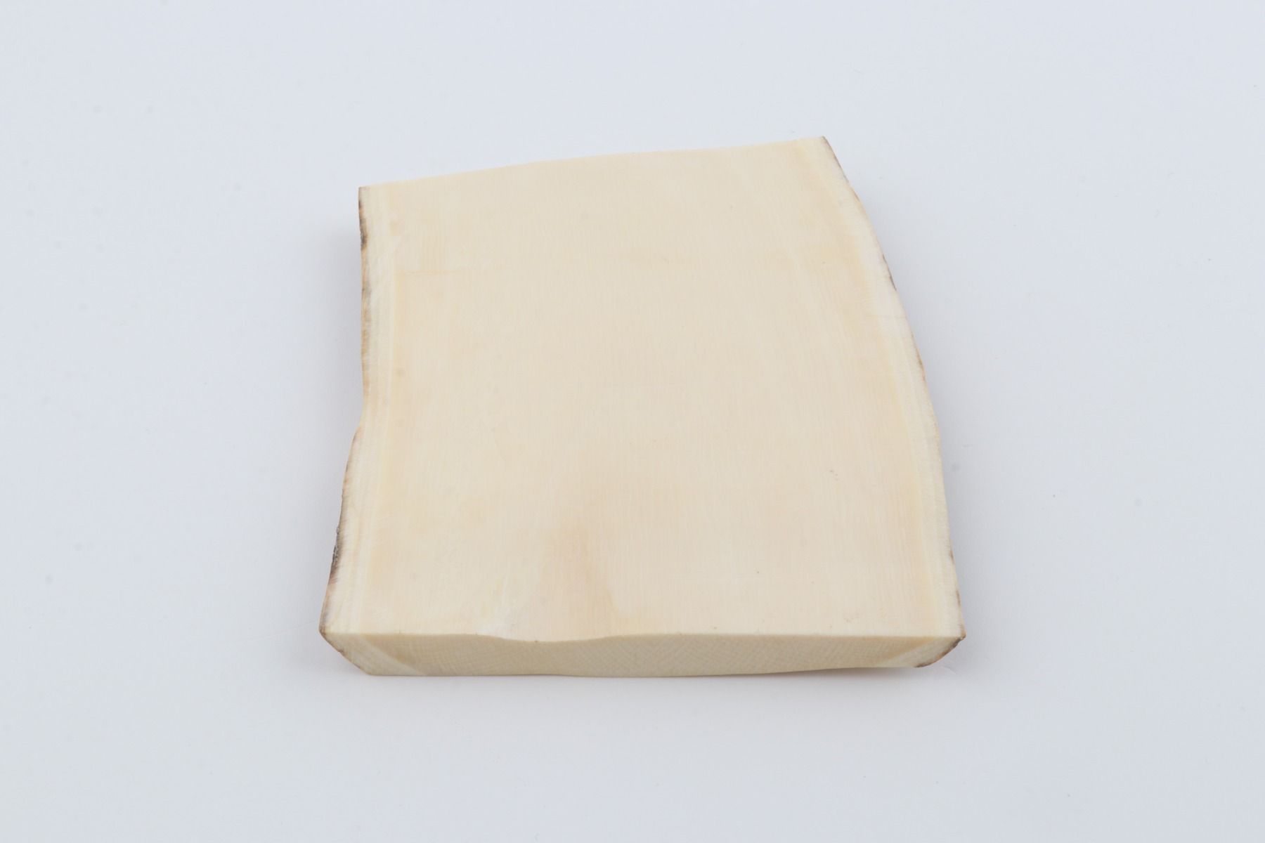 White mammoth ivory segment