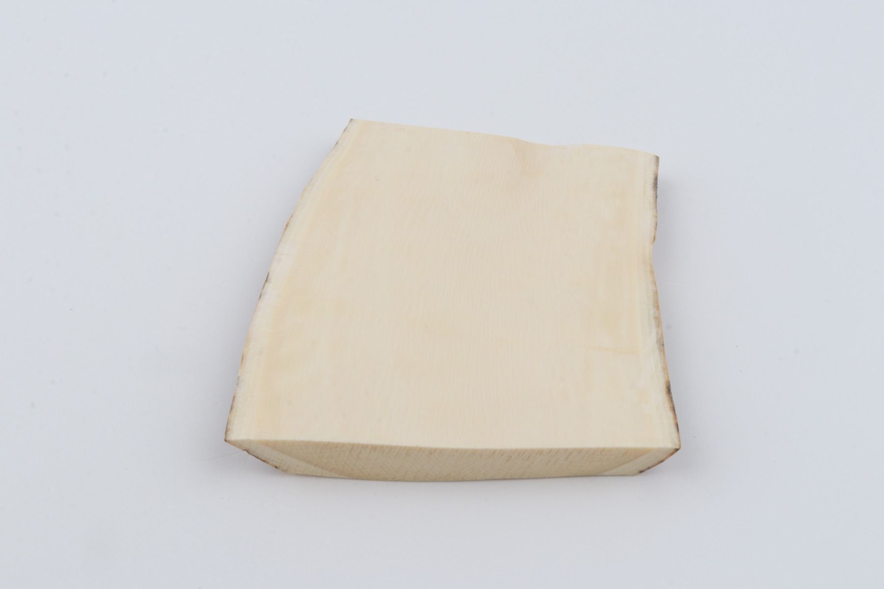 White mammoth ivory segment