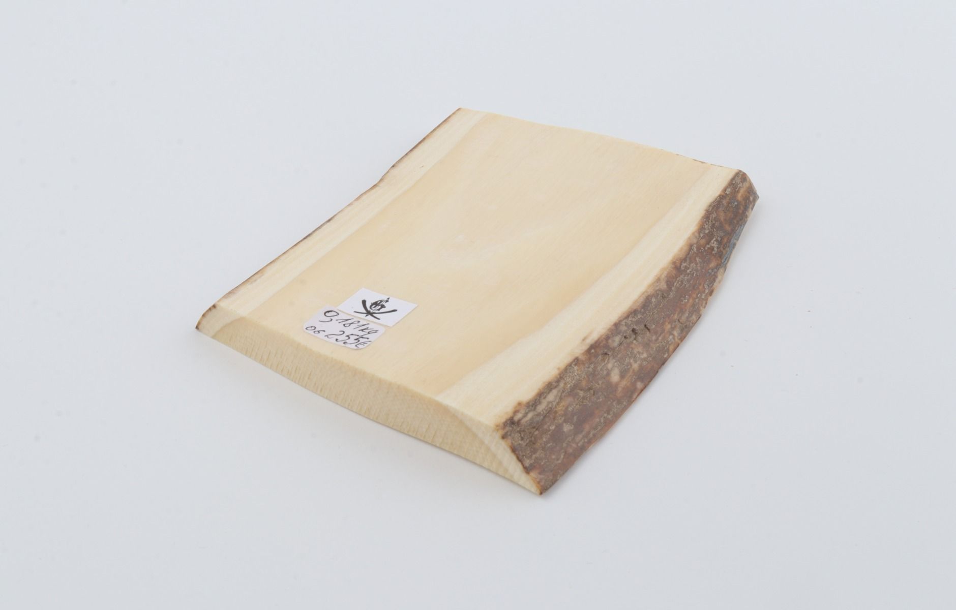 White mammoth ivory segment