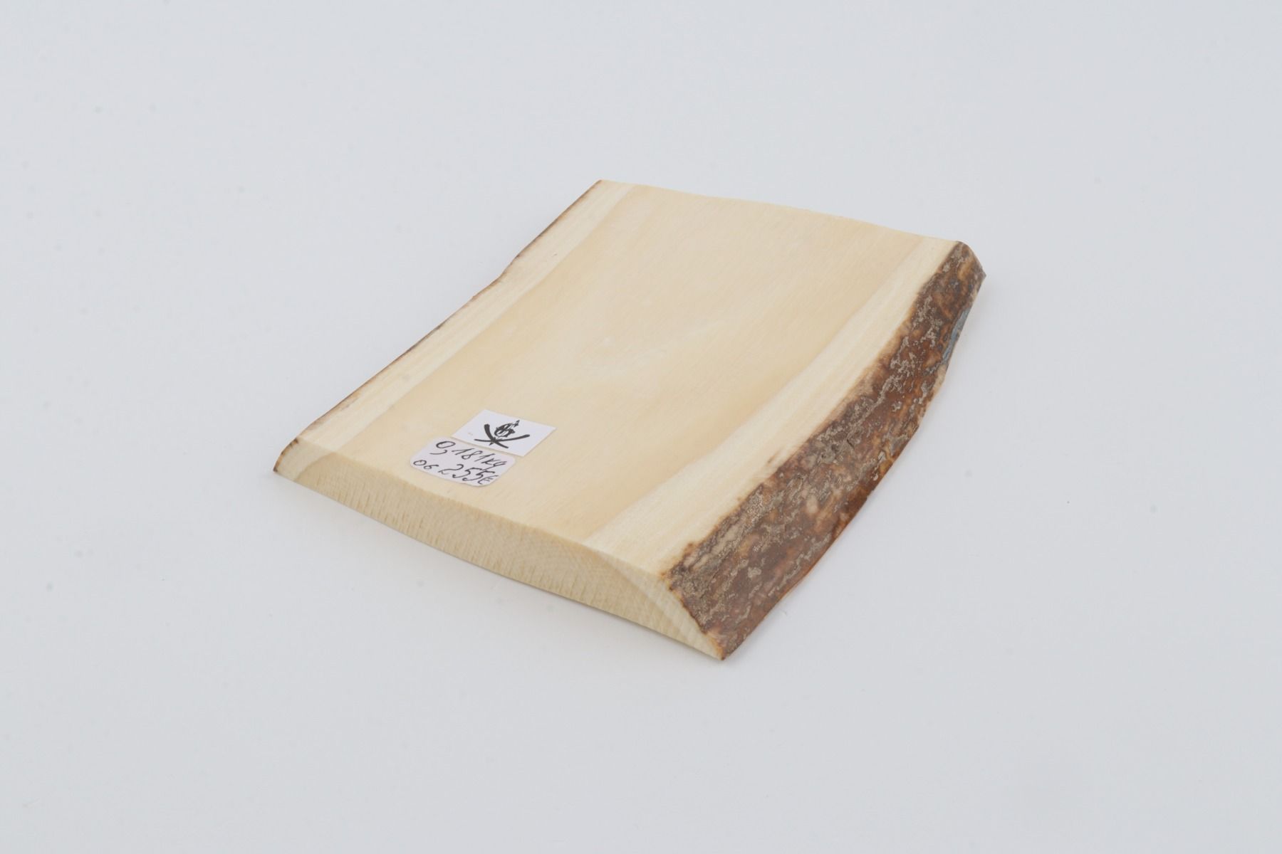 White mammoth ivory segment