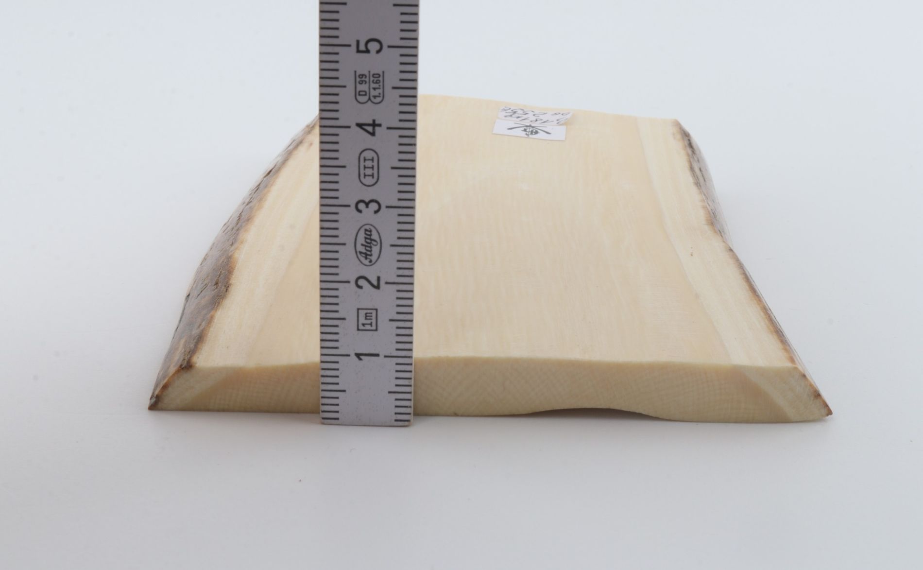 White mammoth ivory segment