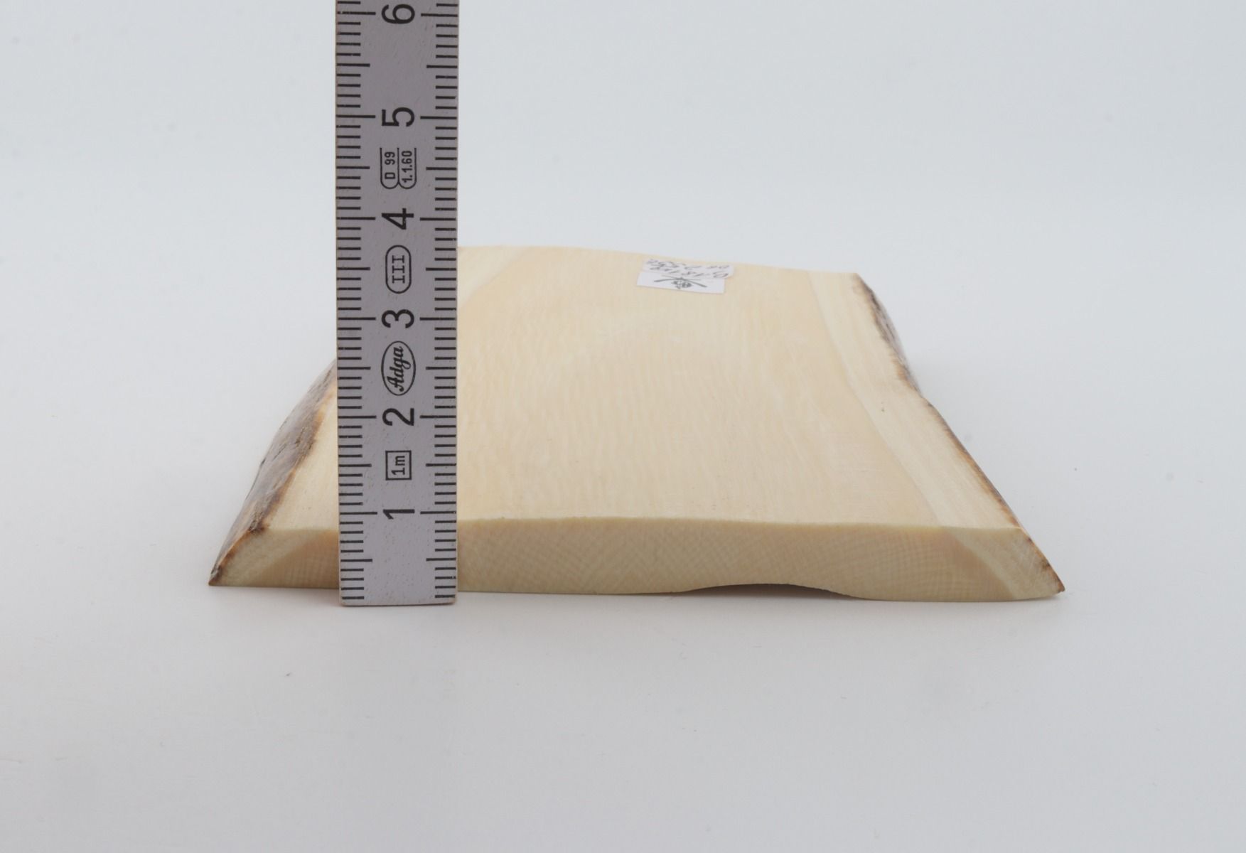 White mammoth ivory segment