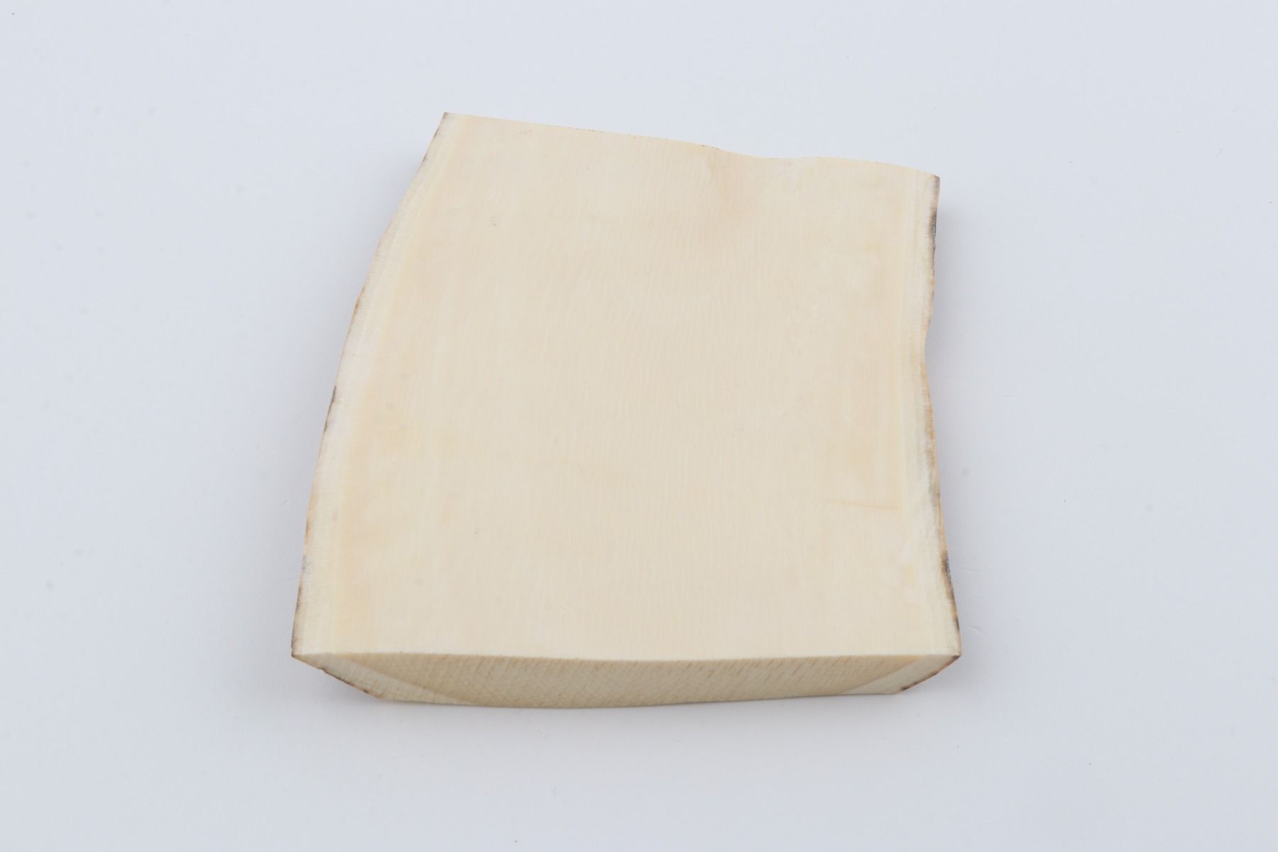 White mammoth ivory segment