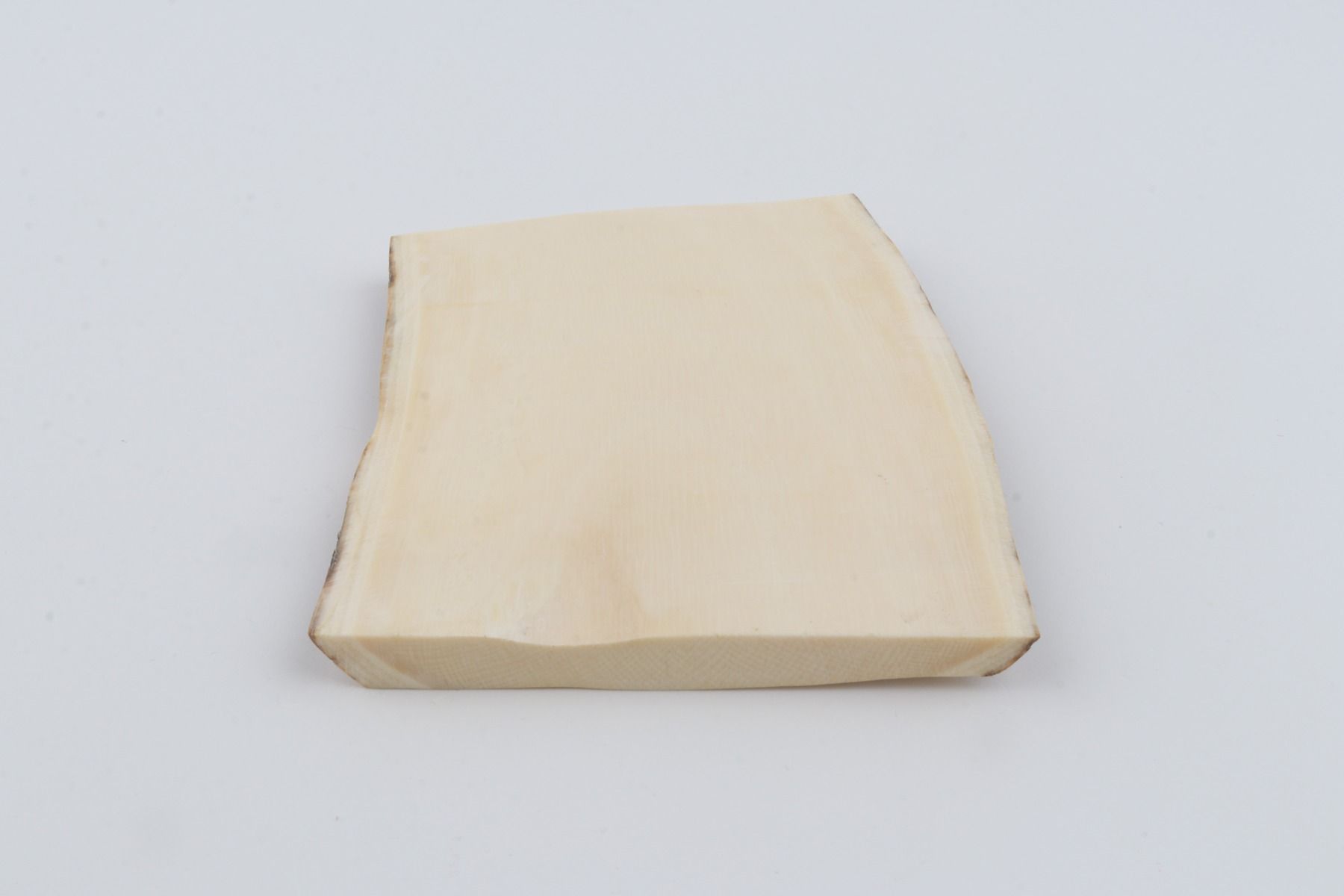 White mammoth ivory segment