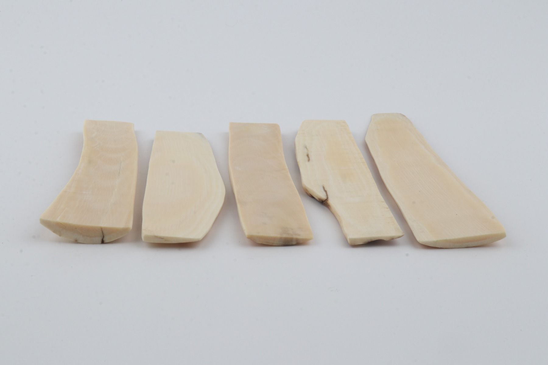 Natural mammoth bark pieces