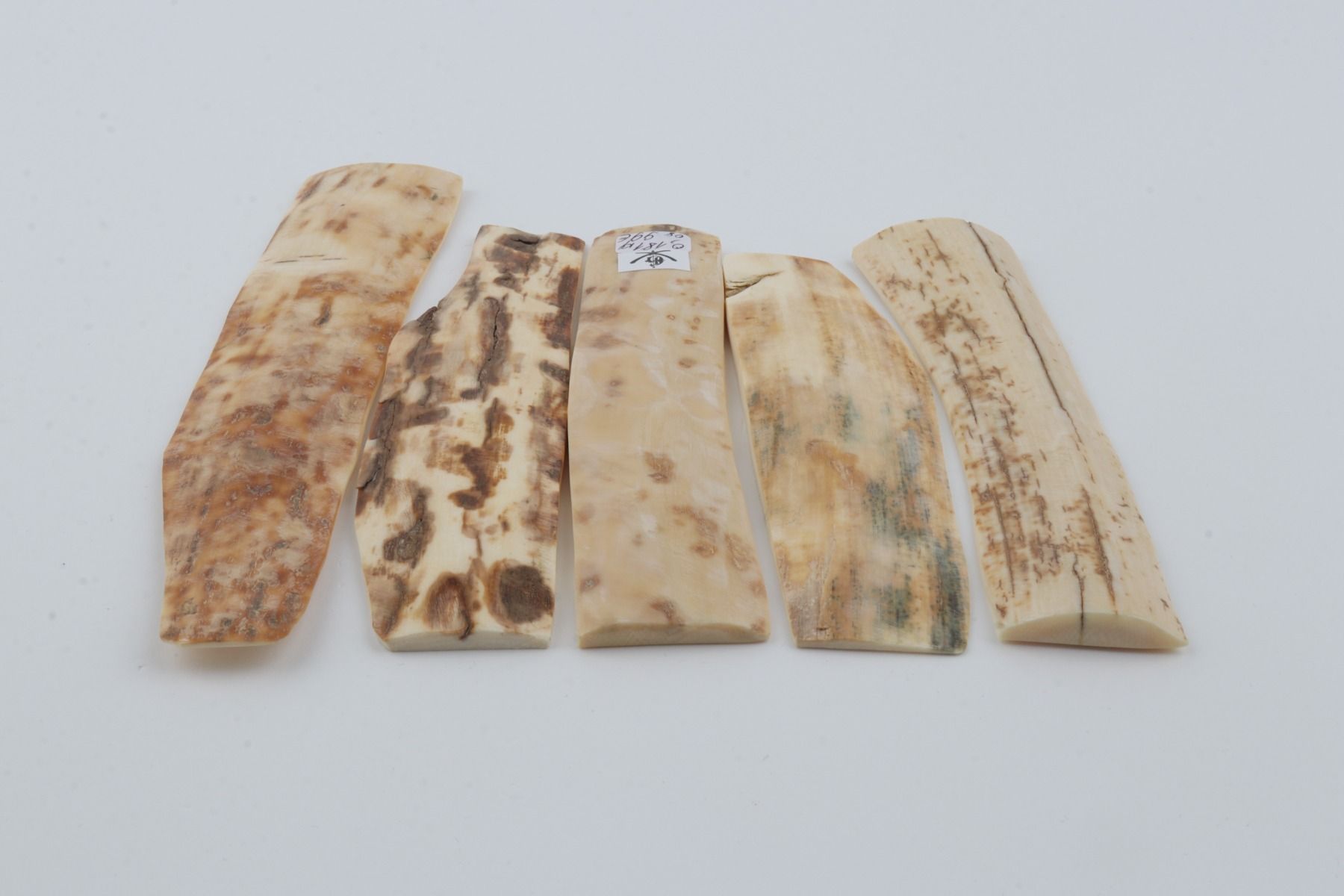 Natural mammoth bark pieces