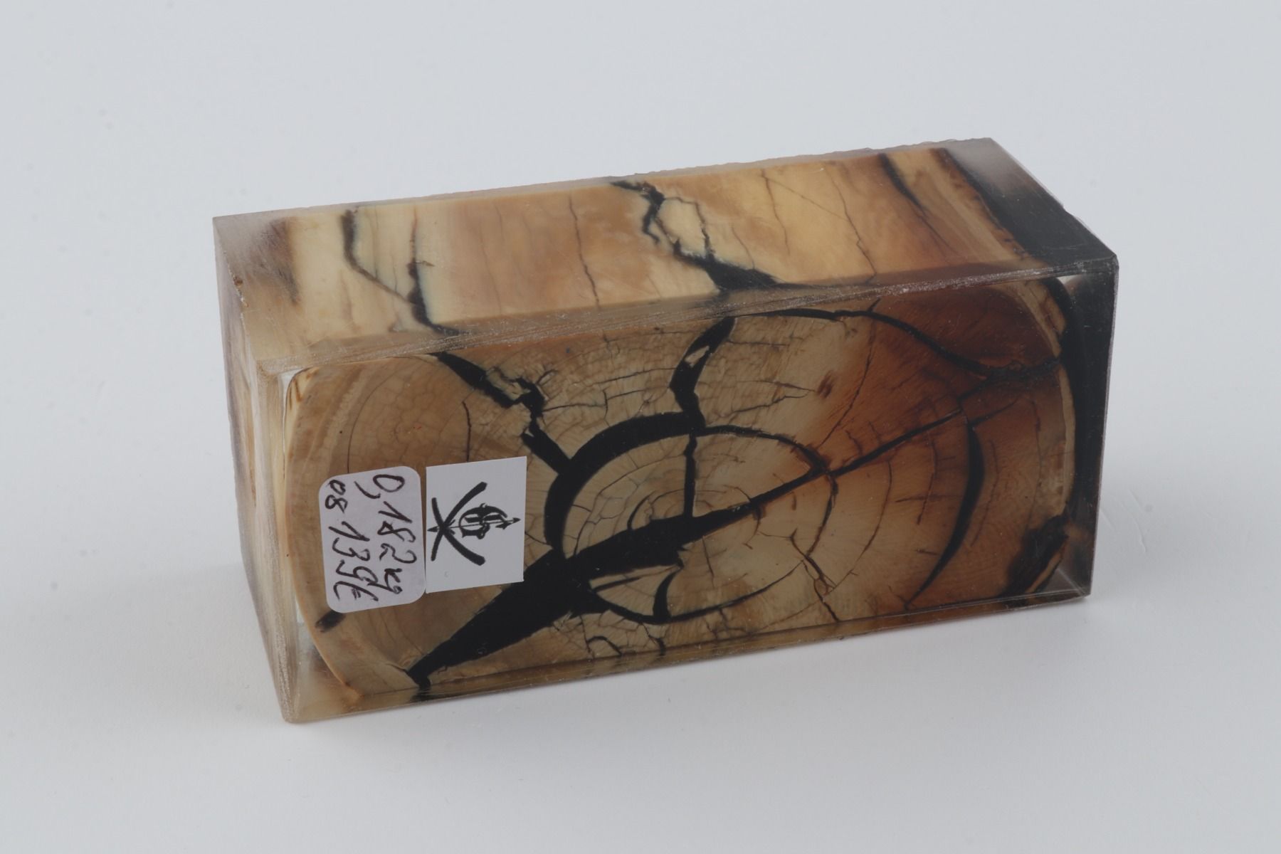 Stabilized mammoth ivory block