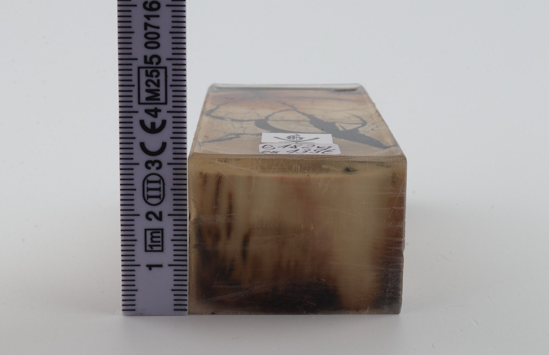 Stabilized mammoth ivory block