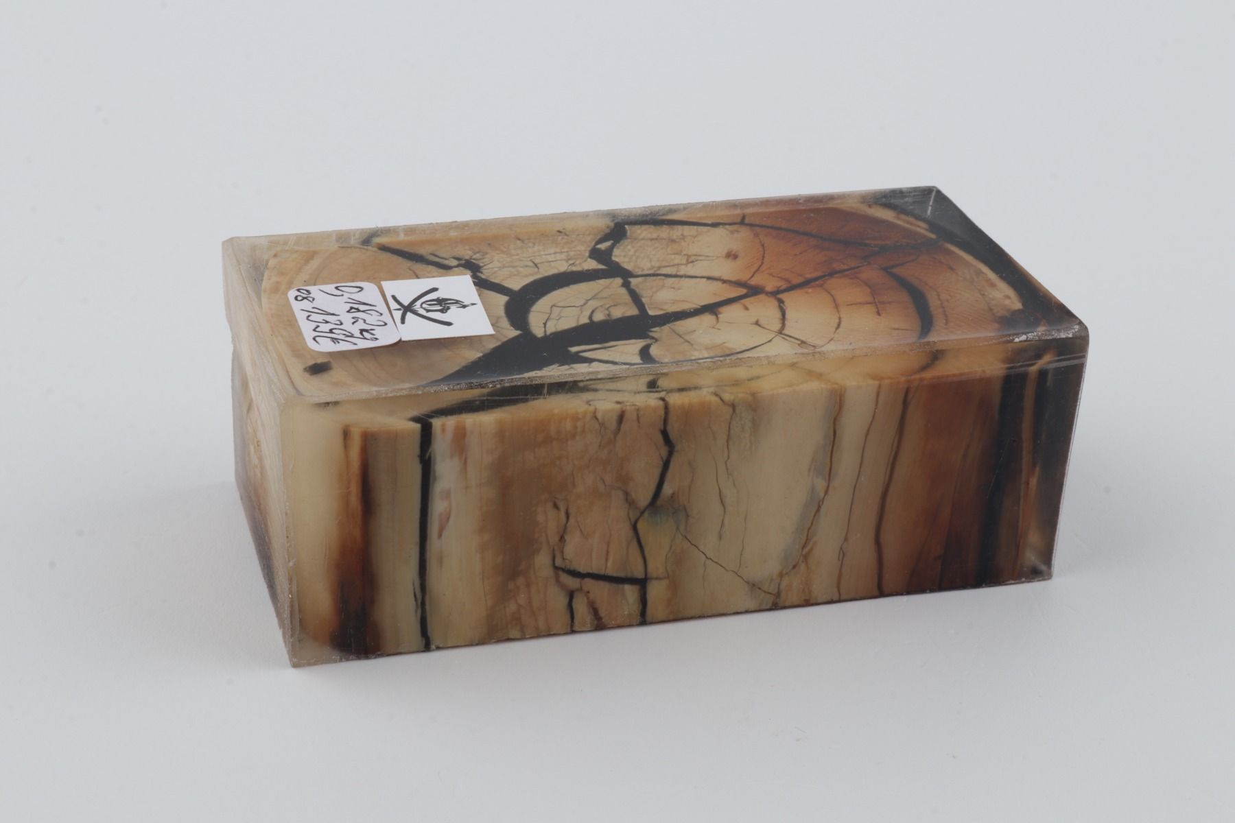 Stabilized mammoth ivory block