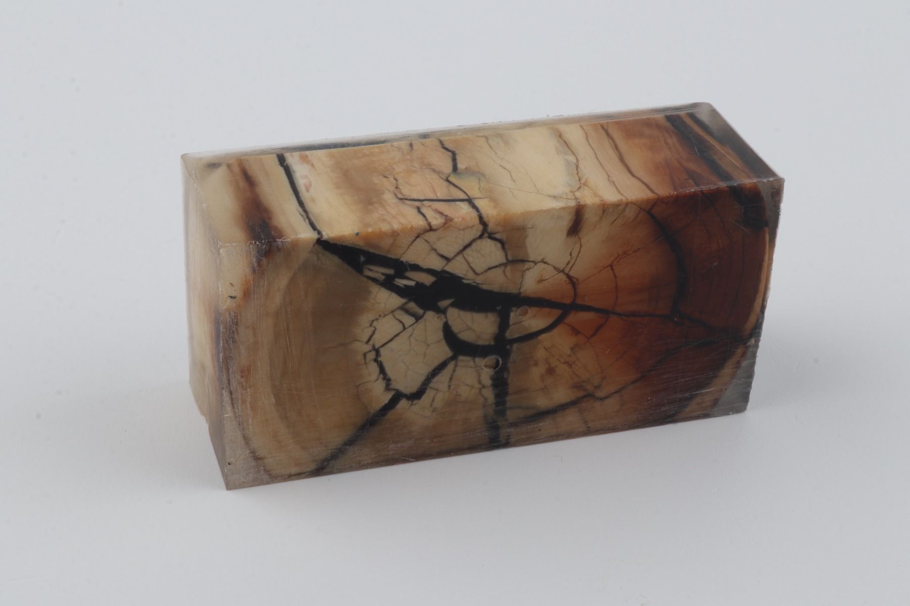 Stabilized mammoth ivory block