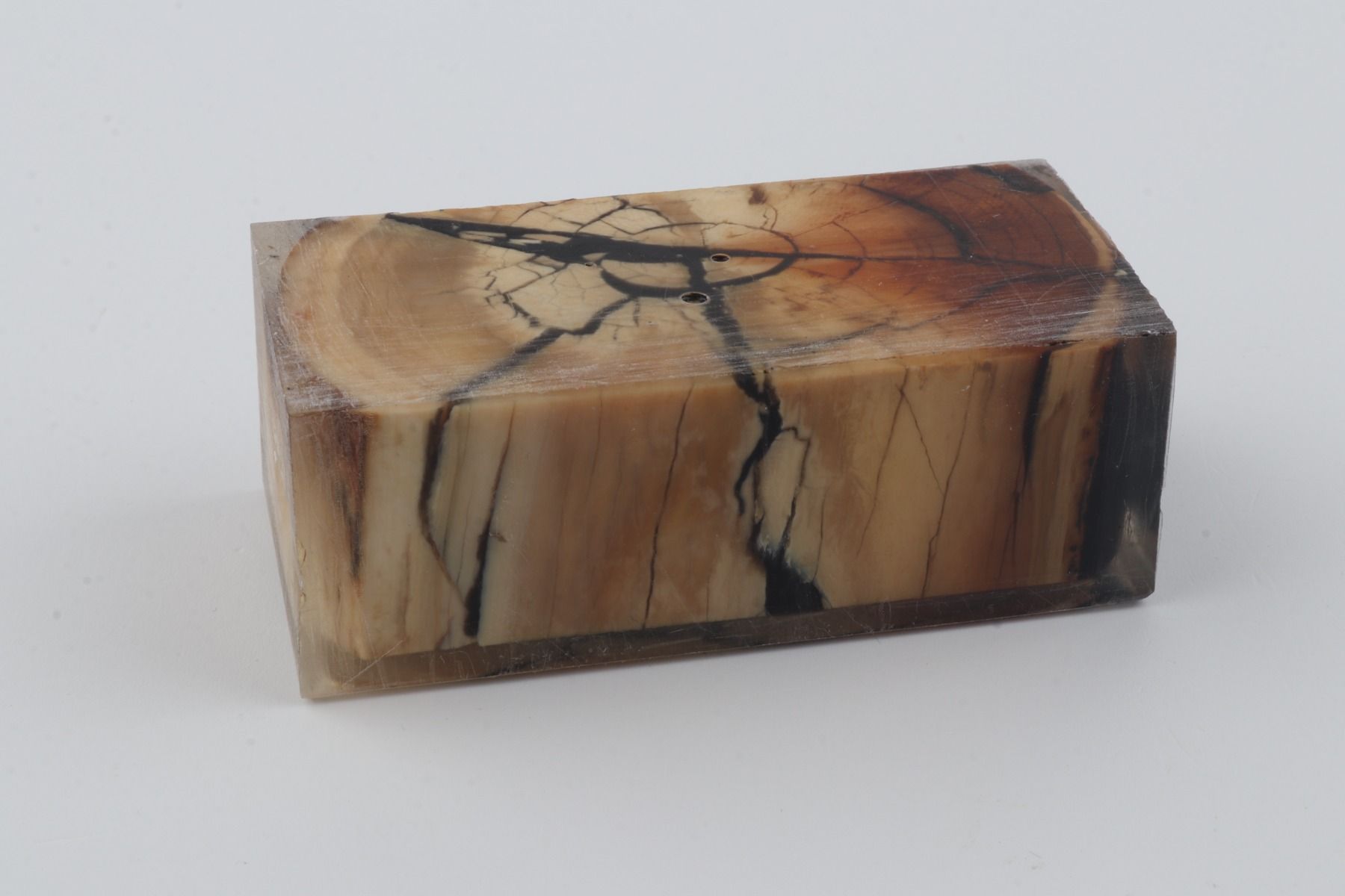 Stabilized mammoth ivory block
