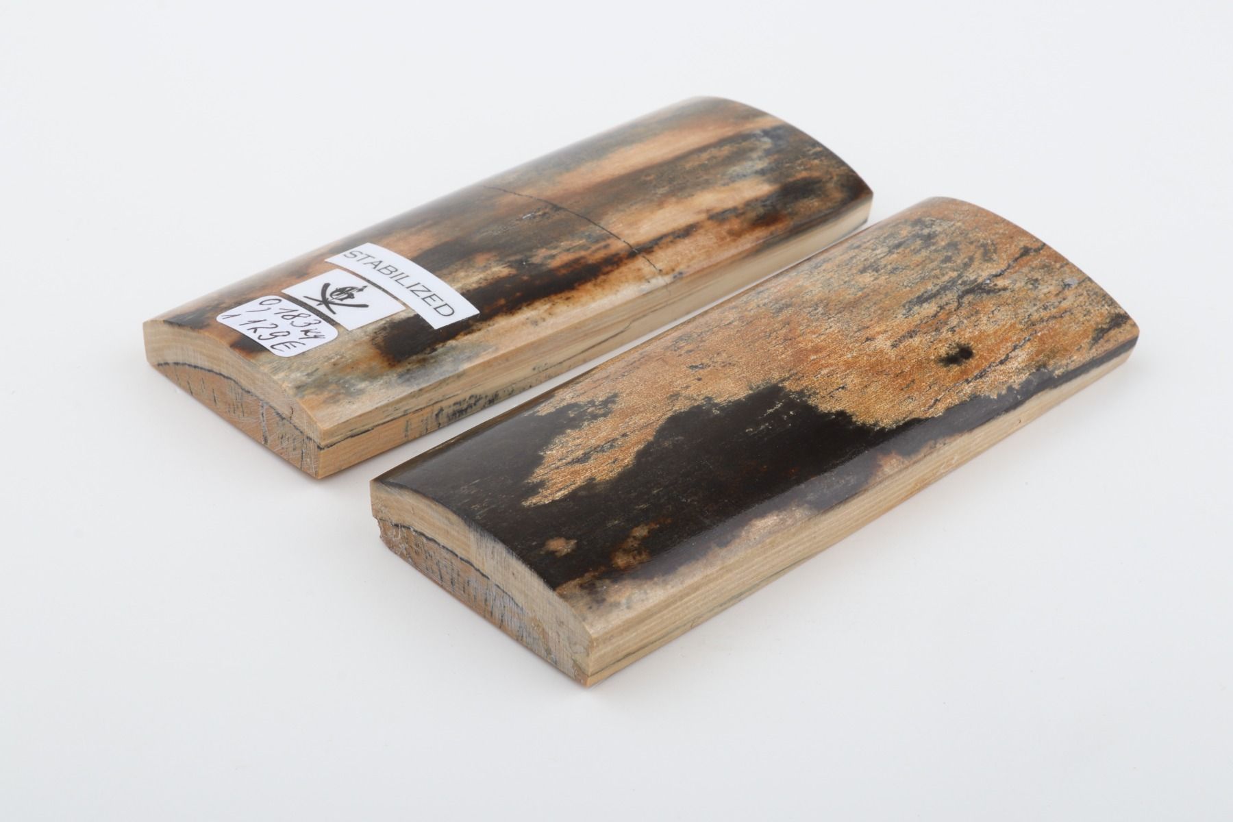 Stabilised mammoth bark scales