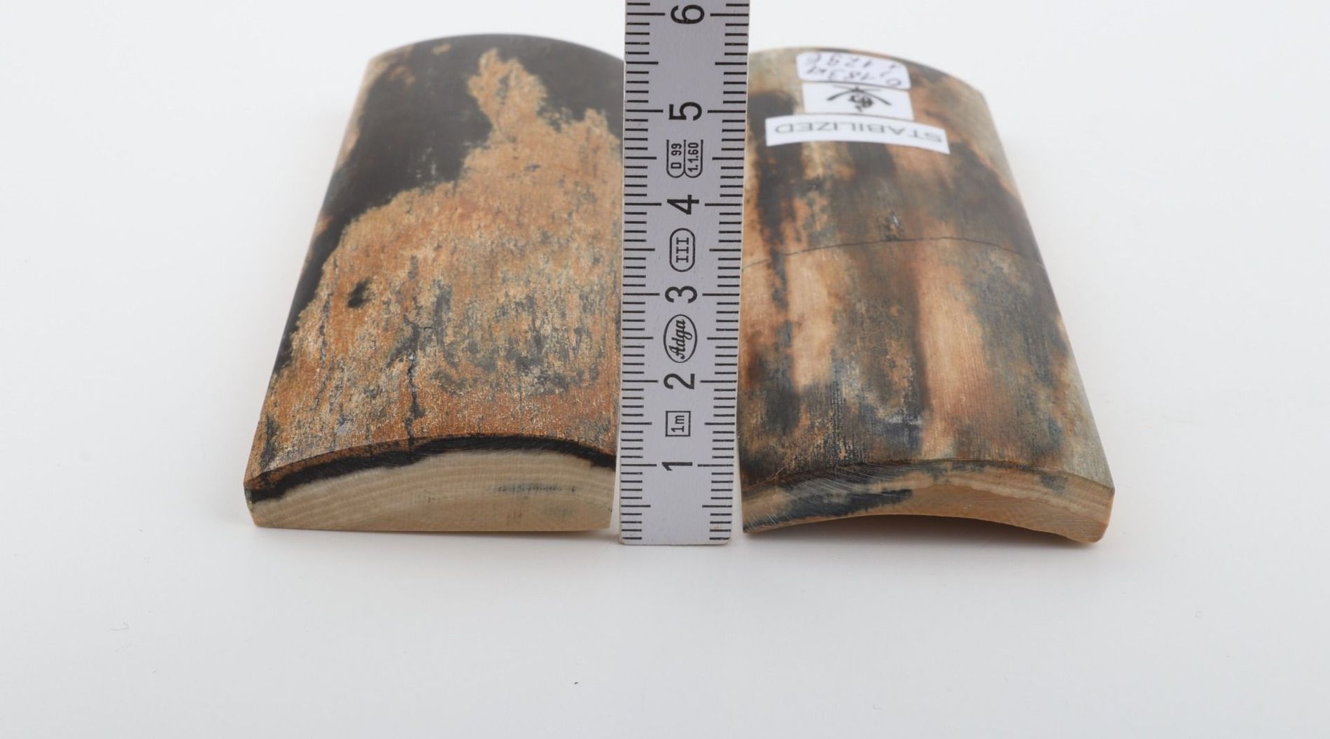 Stabilised mammoth bark scales