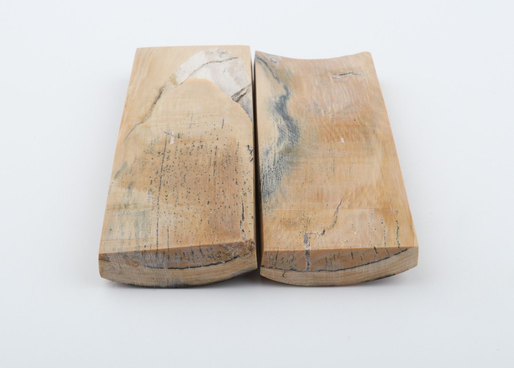 Stabilised mammoth bark scales