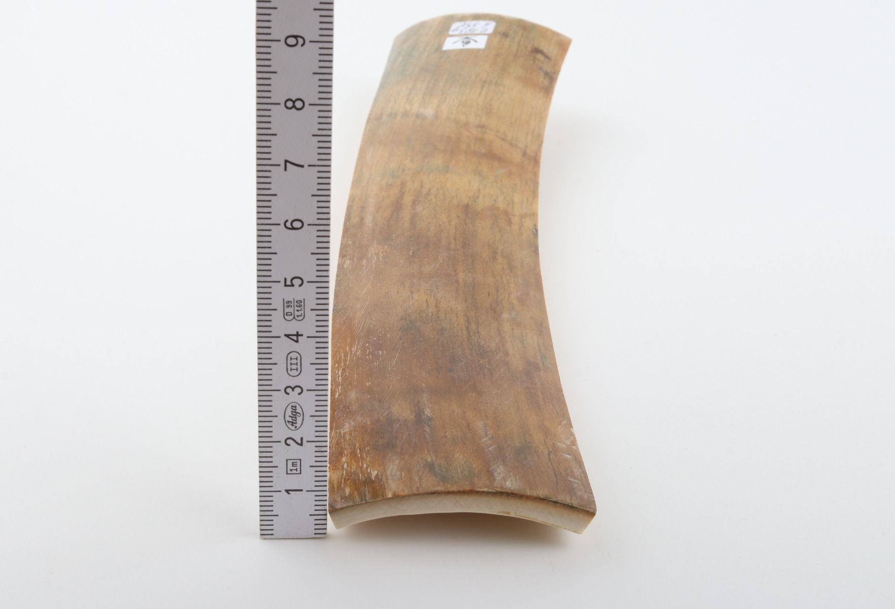 Beige mammoth bark